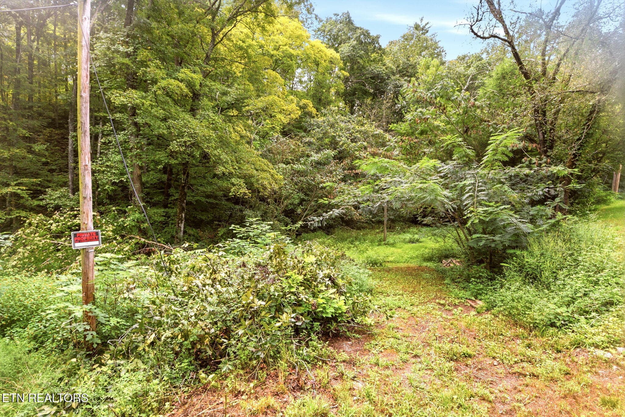 19-web-or-mls-Smith243 (1) - 243 Smith Rd, Clinton, TN 37716