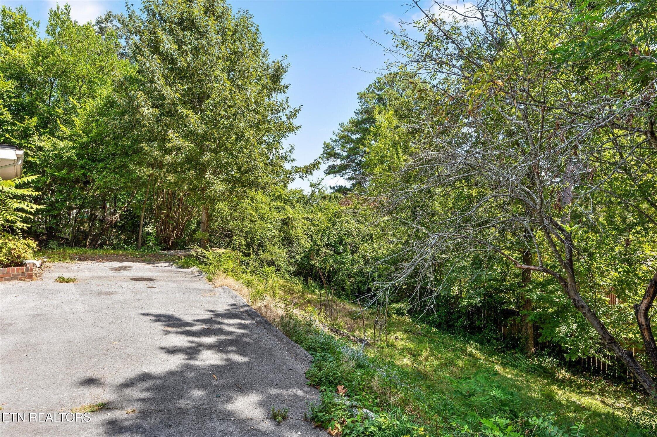 05-714 Belvoir-30 - 714 Belvoir Ave, Chattanooga, TN 37412, Chattanooga