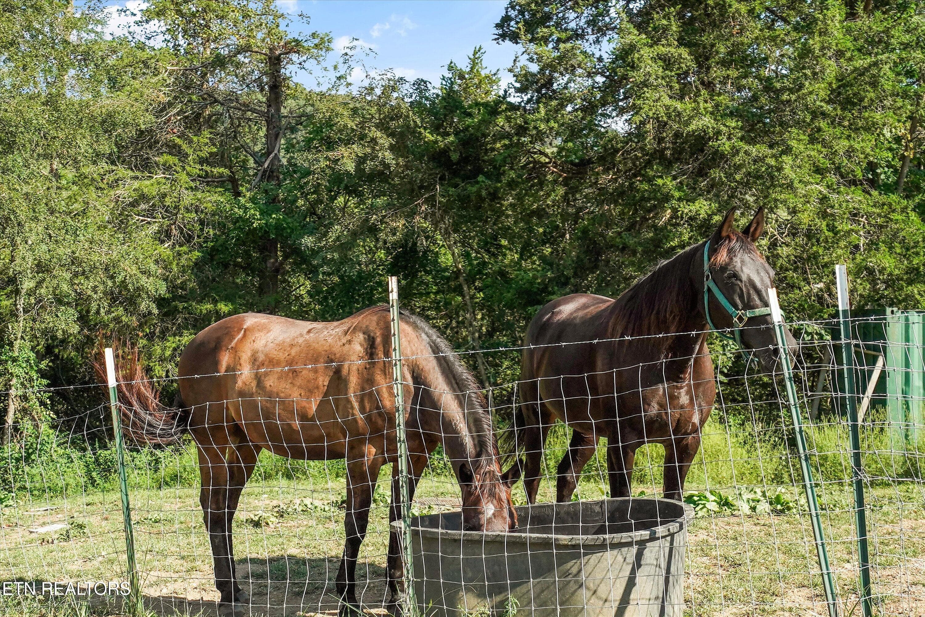 63-125 Dan Shumate Rd 47 - 125 Dan Shumate Rd, Maynardville, TN 37807, Maynardville