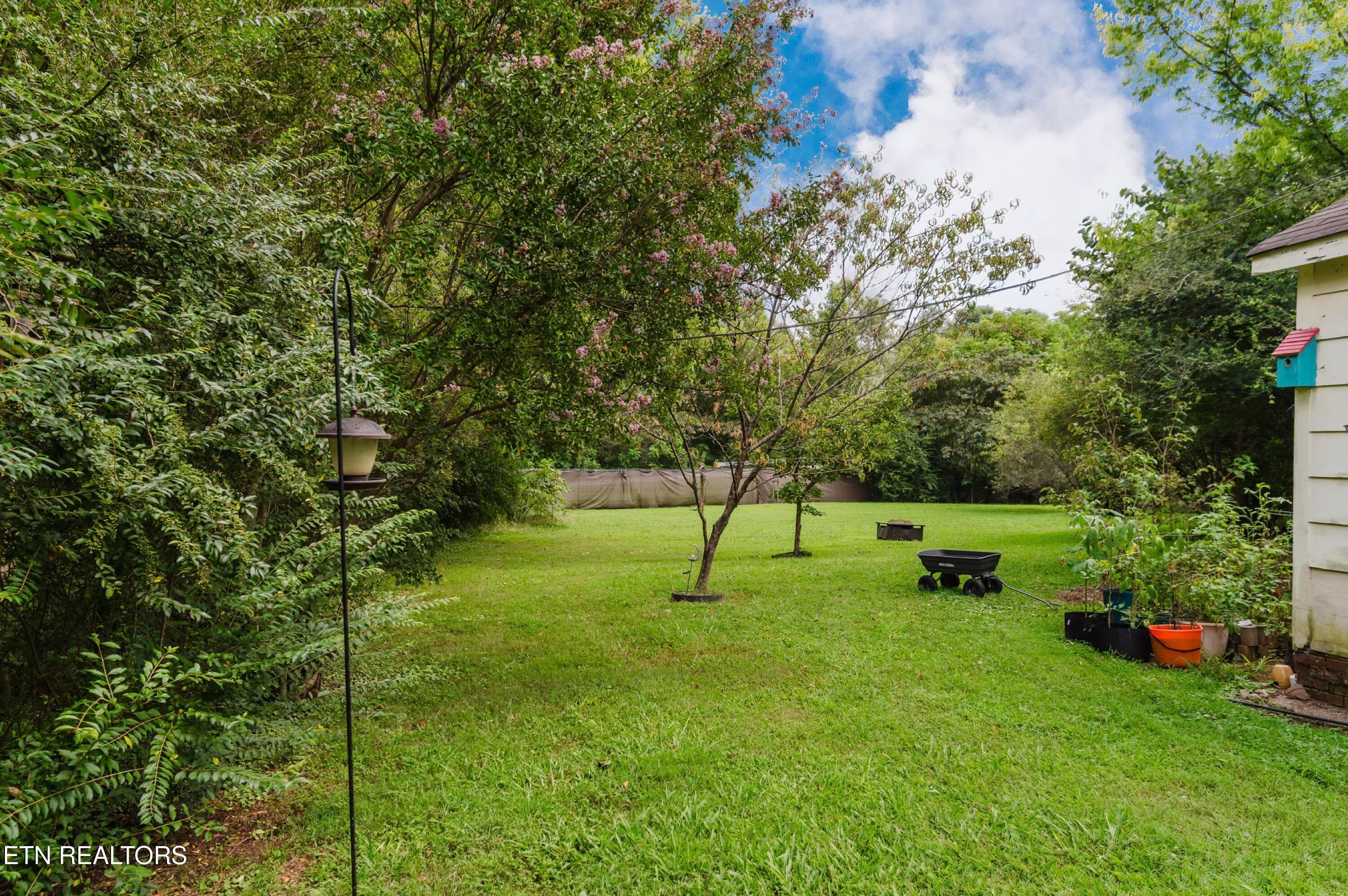 946 Moody backyard - 946 E Moody Ave, Knoxville, TN 37920, Knoxville