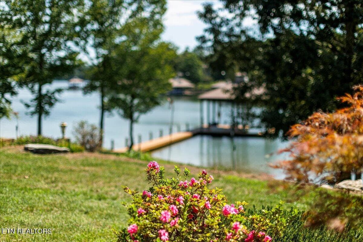 089-Q5A1615 - 436 Waterfront Way, Spring City, TN 37381