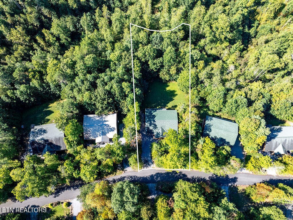 DJI_20260909103334_0119_D-Edit - 213 Amet Way, Cosby, TN 37722, Cosby