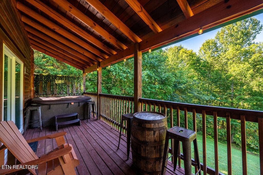 DSC_3914-HDR - 213 Amet Way, Cosby, TN 37722, Cosby