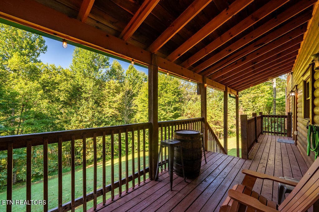 DSC_3917-HDR - 213 Amet Way, Cosby, TN 37722, Cosby