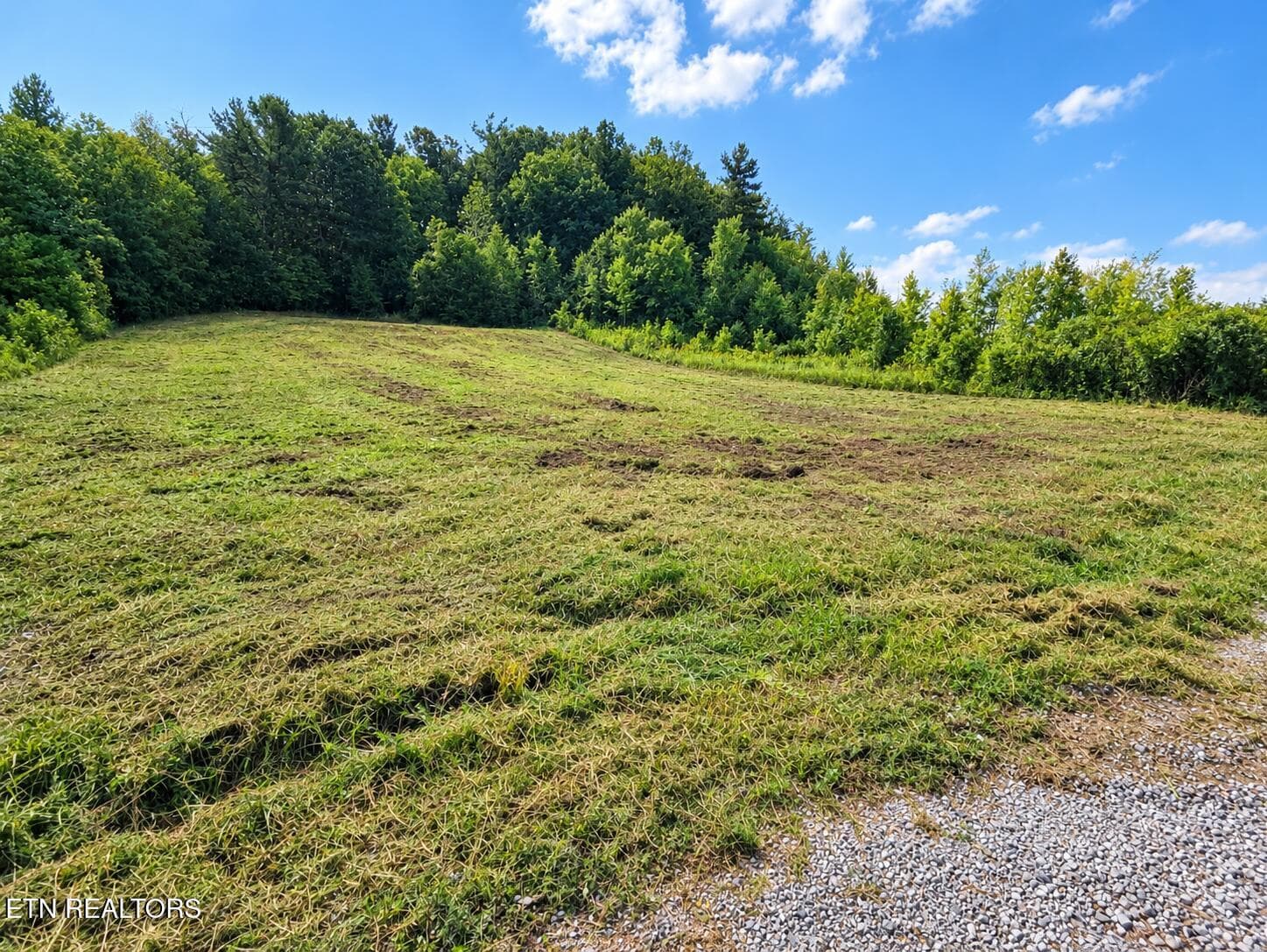 D5354379-46E9-402B-B879-BCAAAE4F8CDB - Clay Boyatt Rd, Oneida, TN 37841