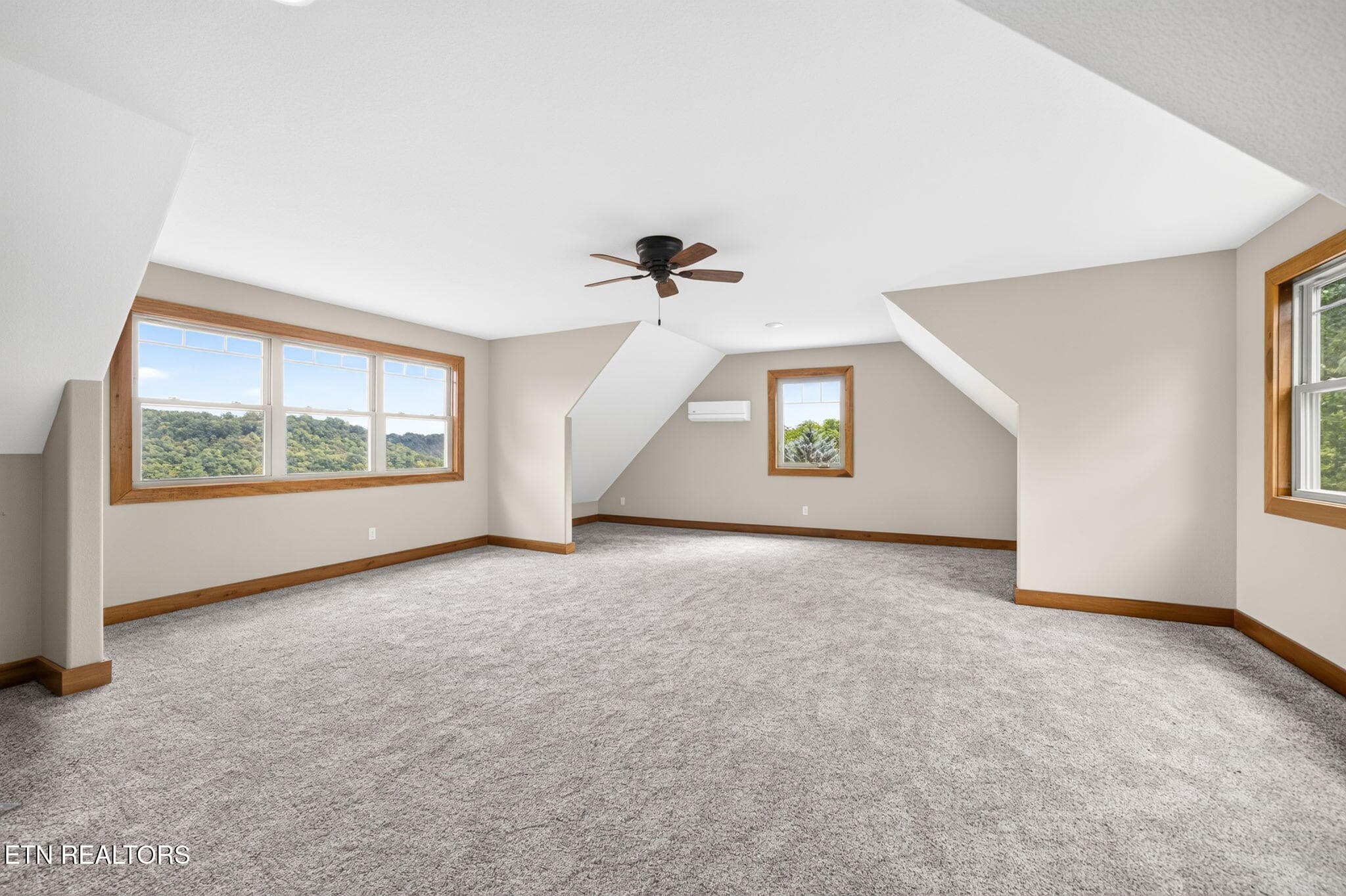 54-web-or-mls-2070 Holly Bend Dr_263_TNP - 2070 Holly Bend Drive, Byrdstown, TN 38549, Byrdstown