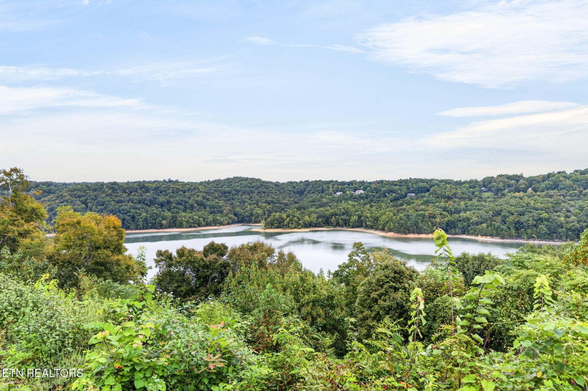55-web-or-mls-2070 Holly Bend Dr_271_TNP - 2070 Holly Bend Drive, Byrdstown, TN 38549, Byrdstown