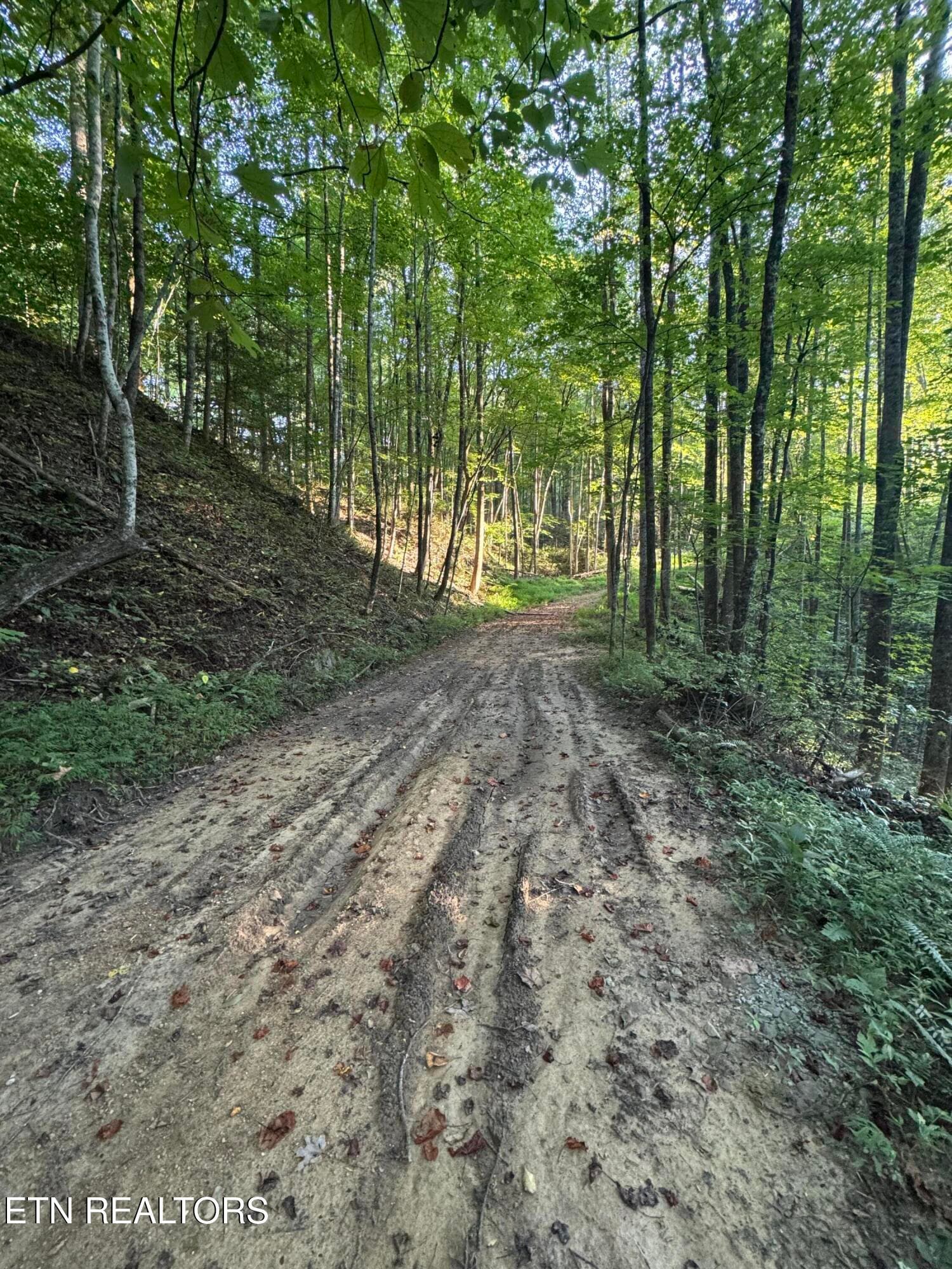 150 Timber Oaks Lane, Pioneer, TN 37847