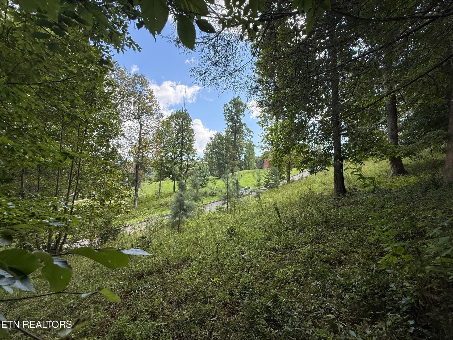 Foxwood Drive, Caryville, TN 37714