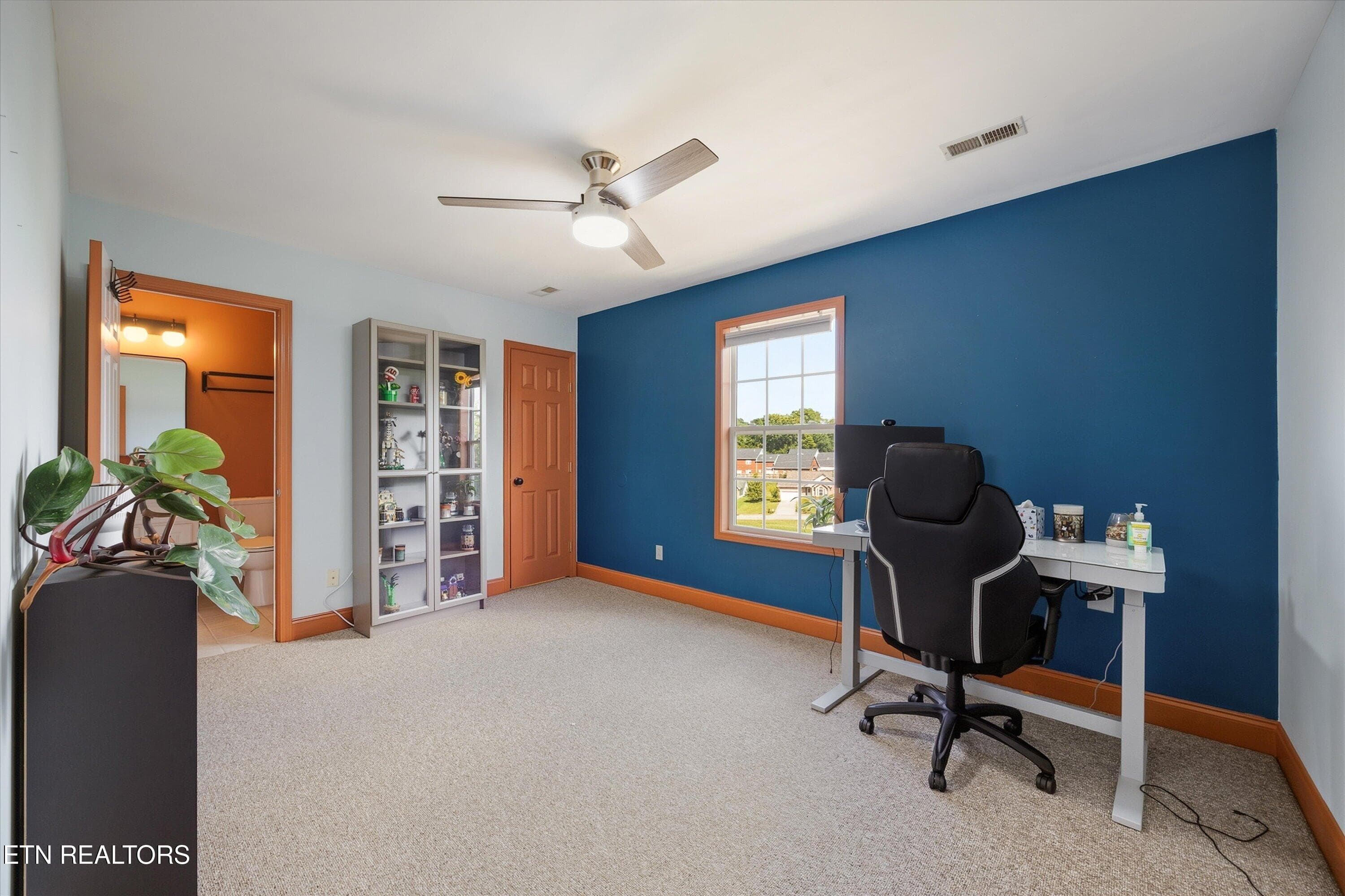 Morning sunshine - 6601 Sedgefield Drive, Knoxville, TN 37923, Knoxville