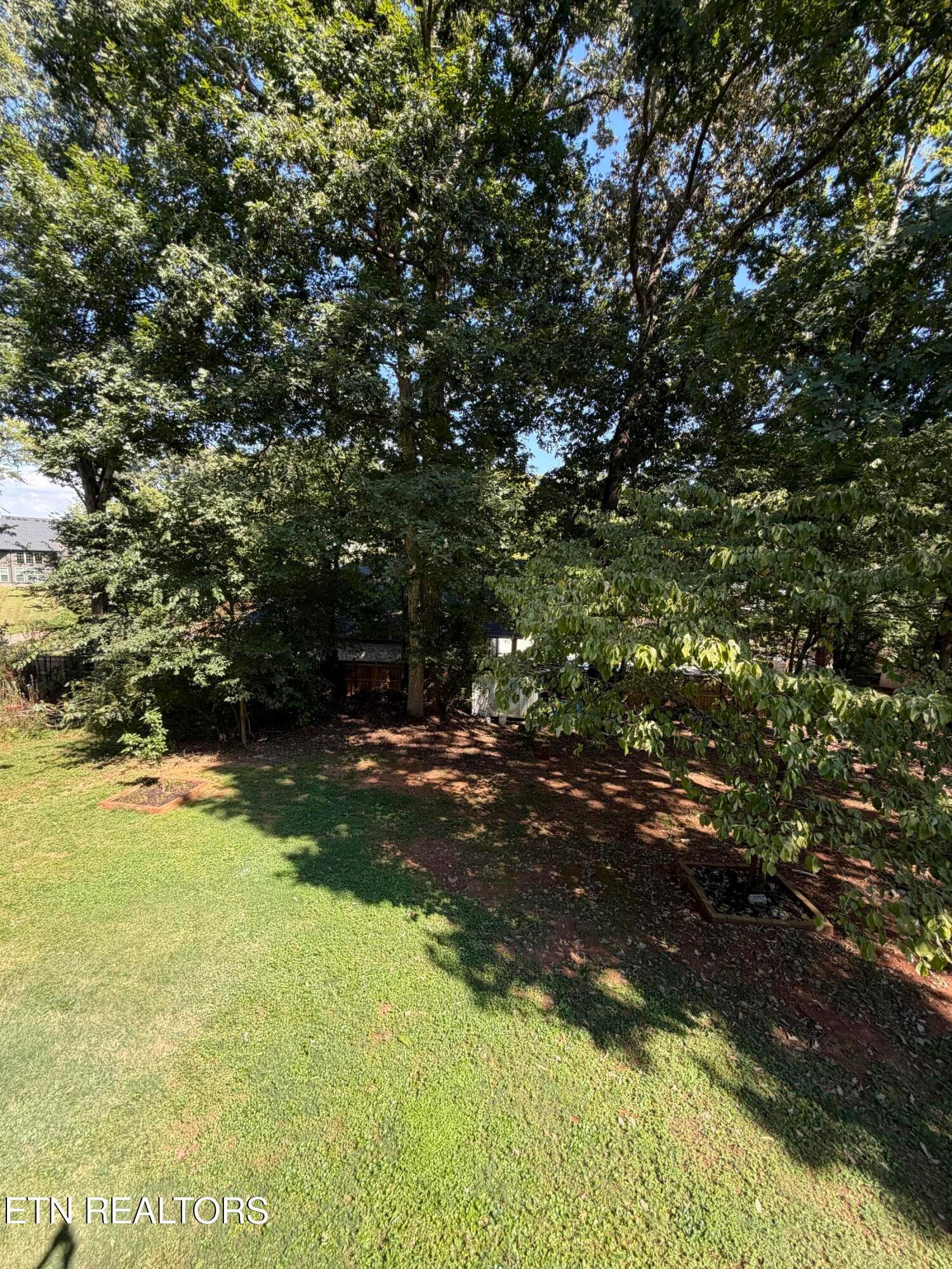 Back Yard - 1113 E Woodshire Drive, Knoxville, TN 37922, Knoxville