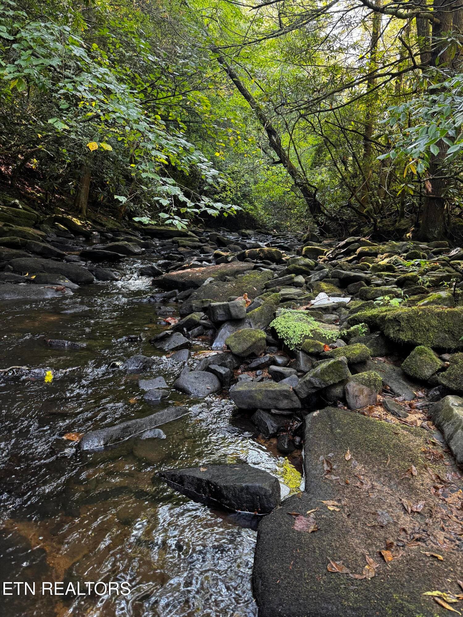 image16 - 1475 Campground Rd, Clarkrange, TN 38553, Clarkrange