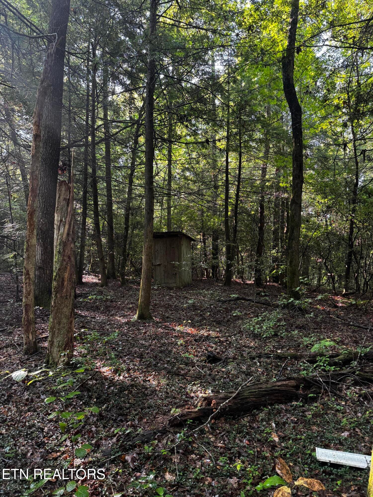 image13 - 1475 Campground Rd, Clarkrange, TN 38553, Clarkrange