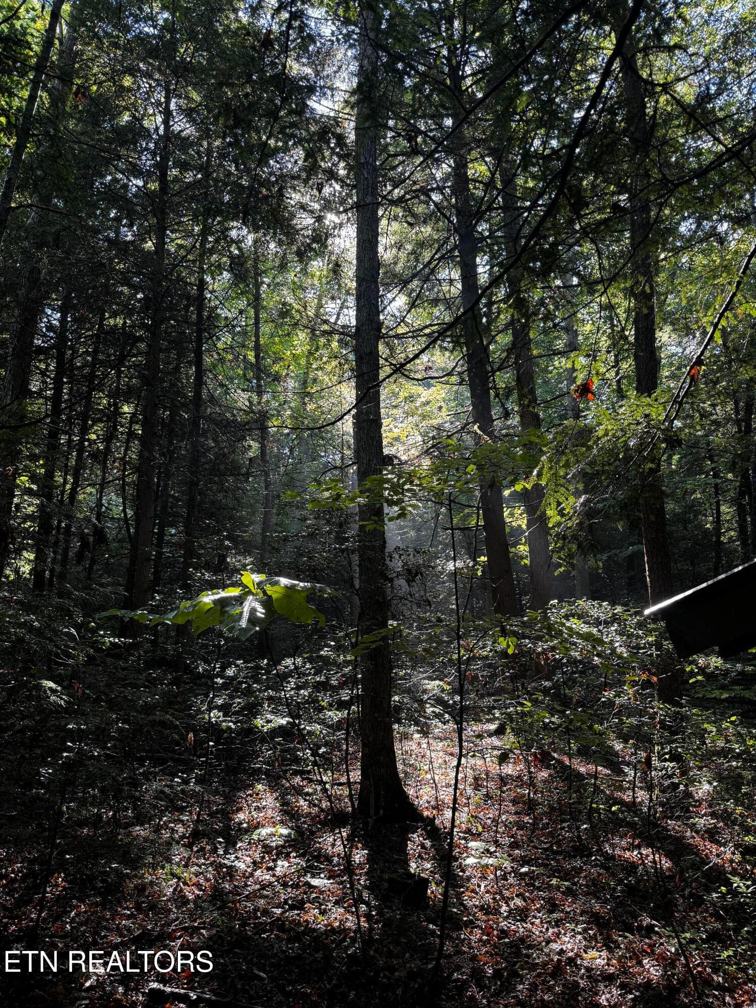 image12 - 1475 Campground Rd, Clarkrange, TN 38553, Clarkrange