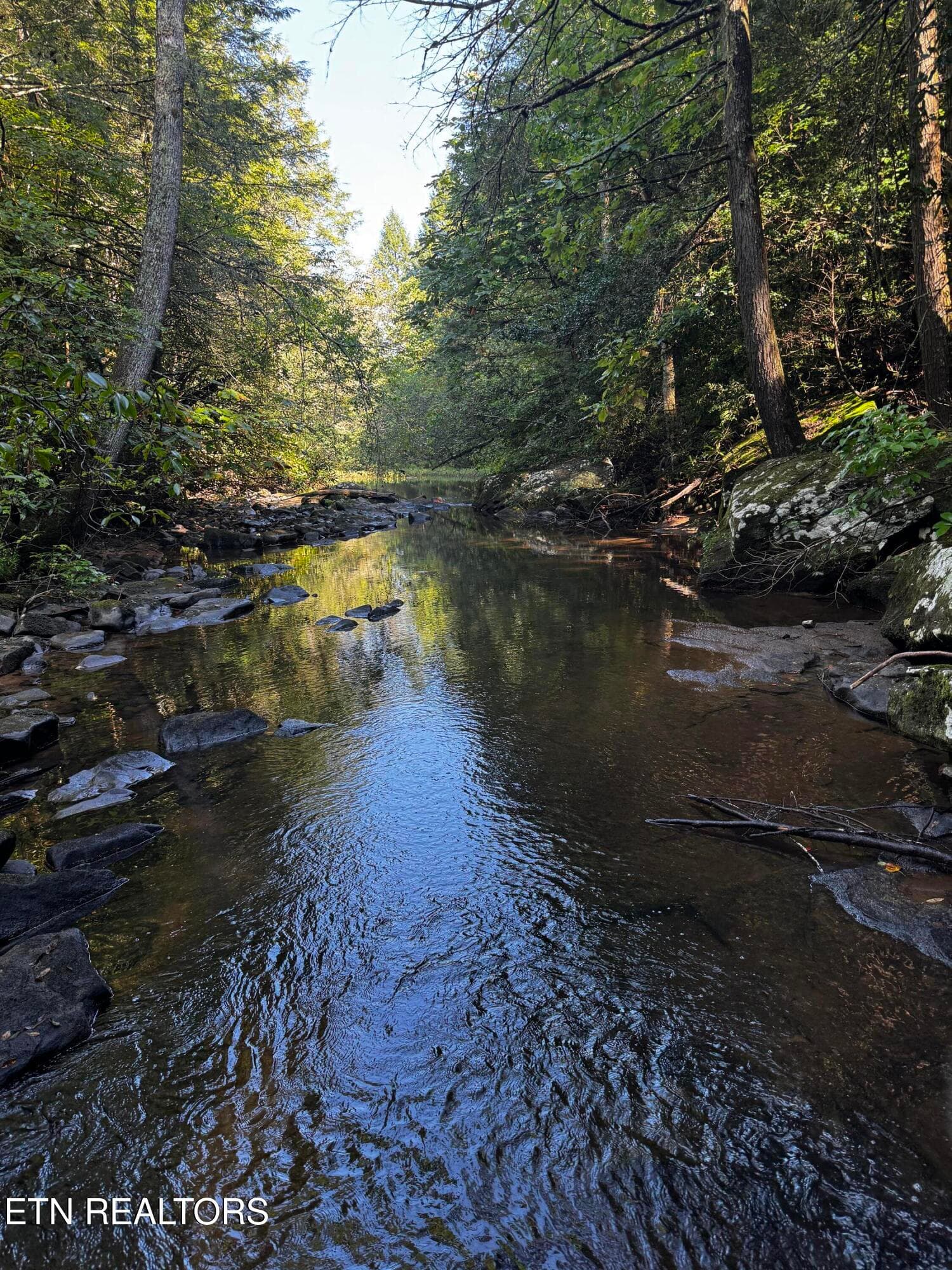 image11 - 1475 Campground Rd, Clarkrange, TN 38553, Clarkrange