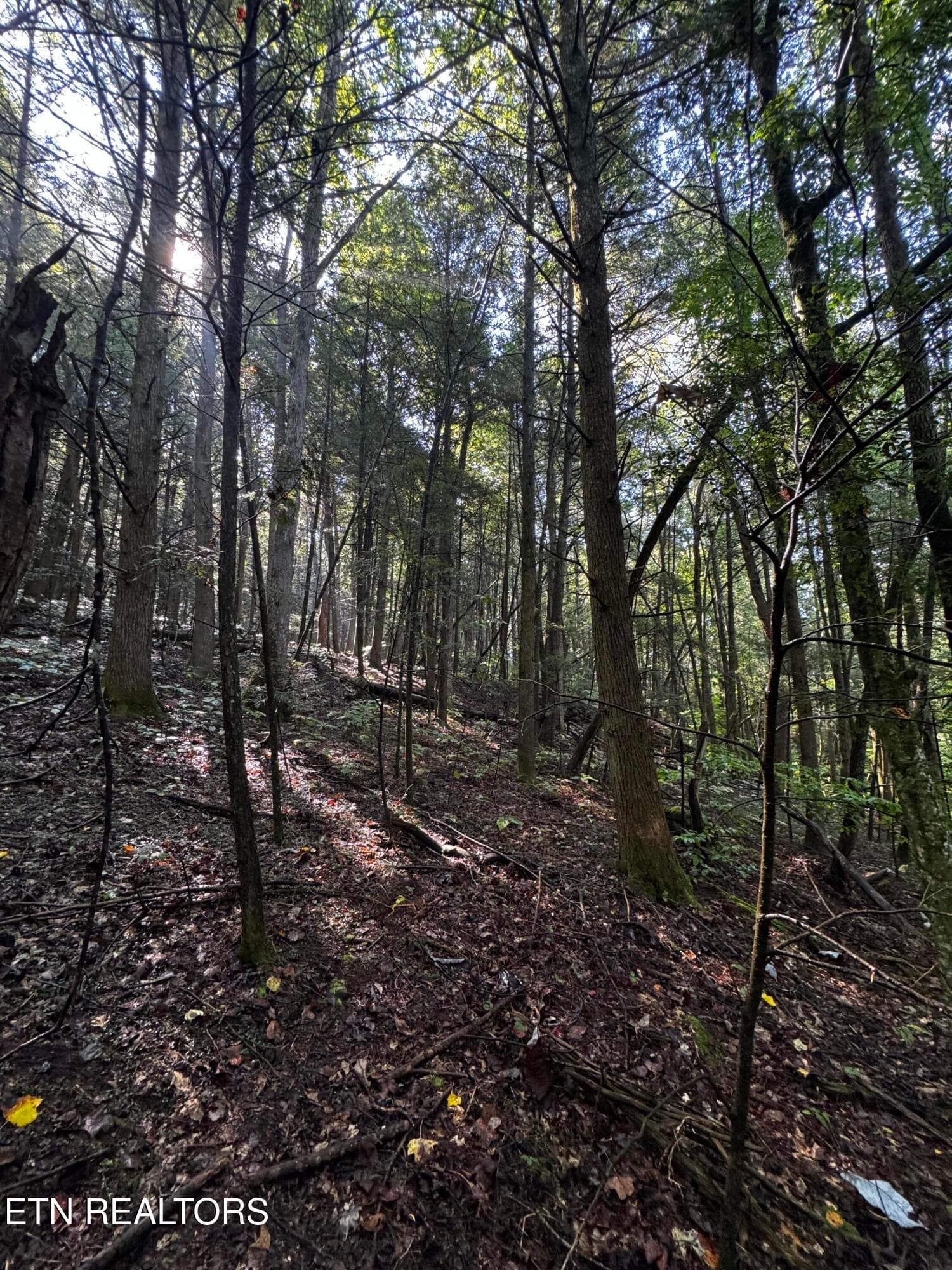 image10 - 1475 Campground Rd, Clarkrange, TN 38553, Clarkrange