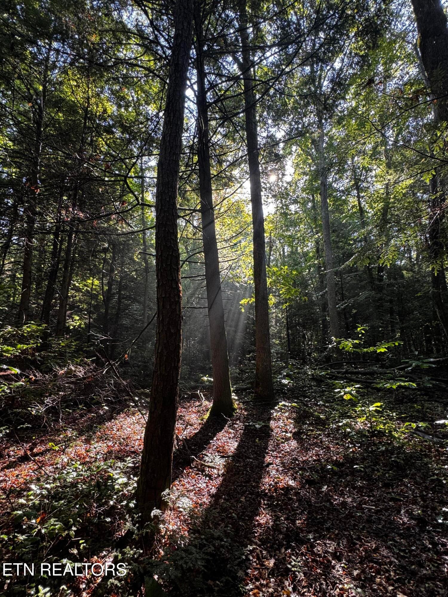 image9 - 1475 Campground Rd, Clarkrange, TN 38553, Clarkrange