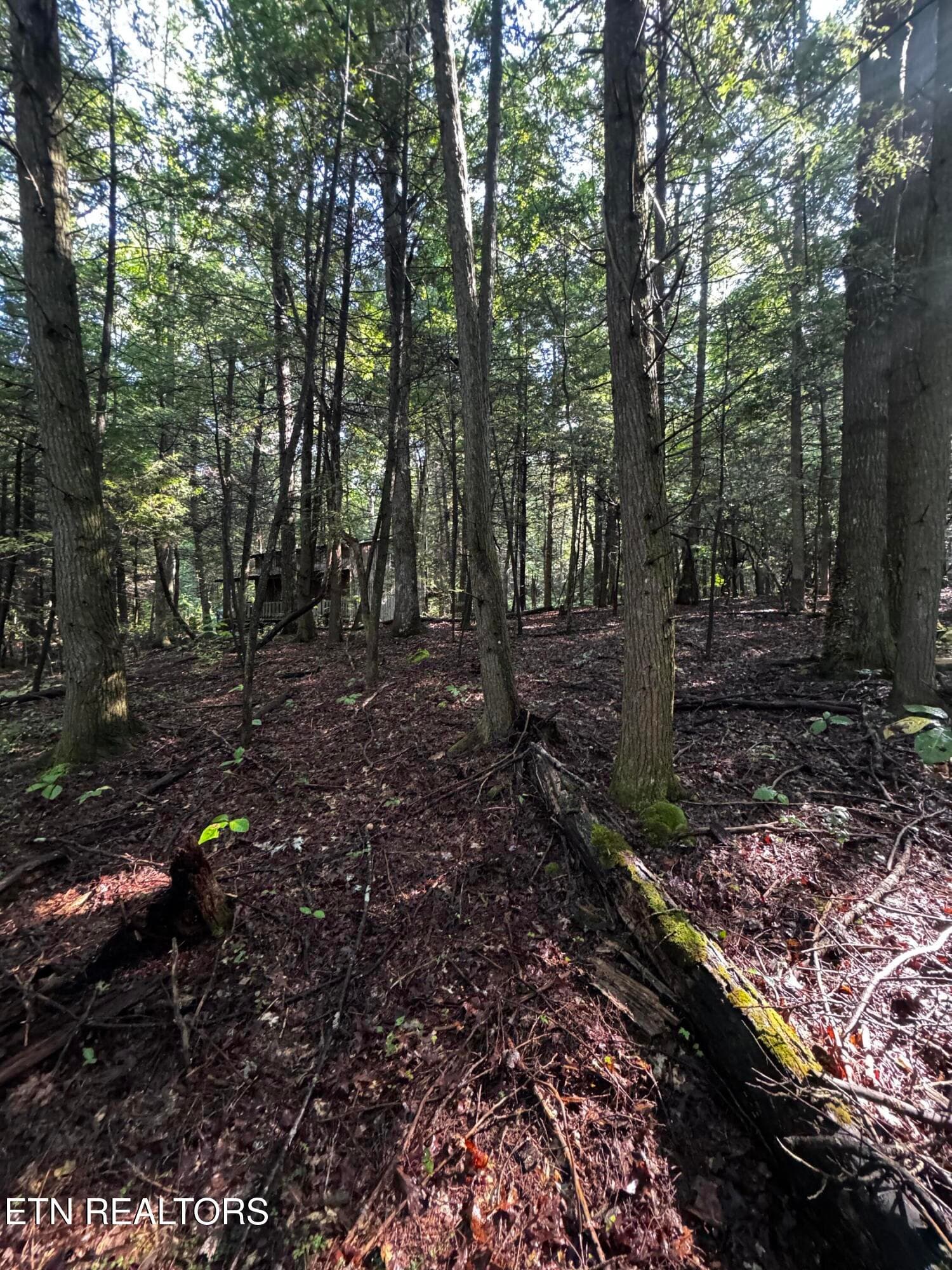 image7 - 1475 Campground Rd, Clarkrange, TN 38553, Clarkrange