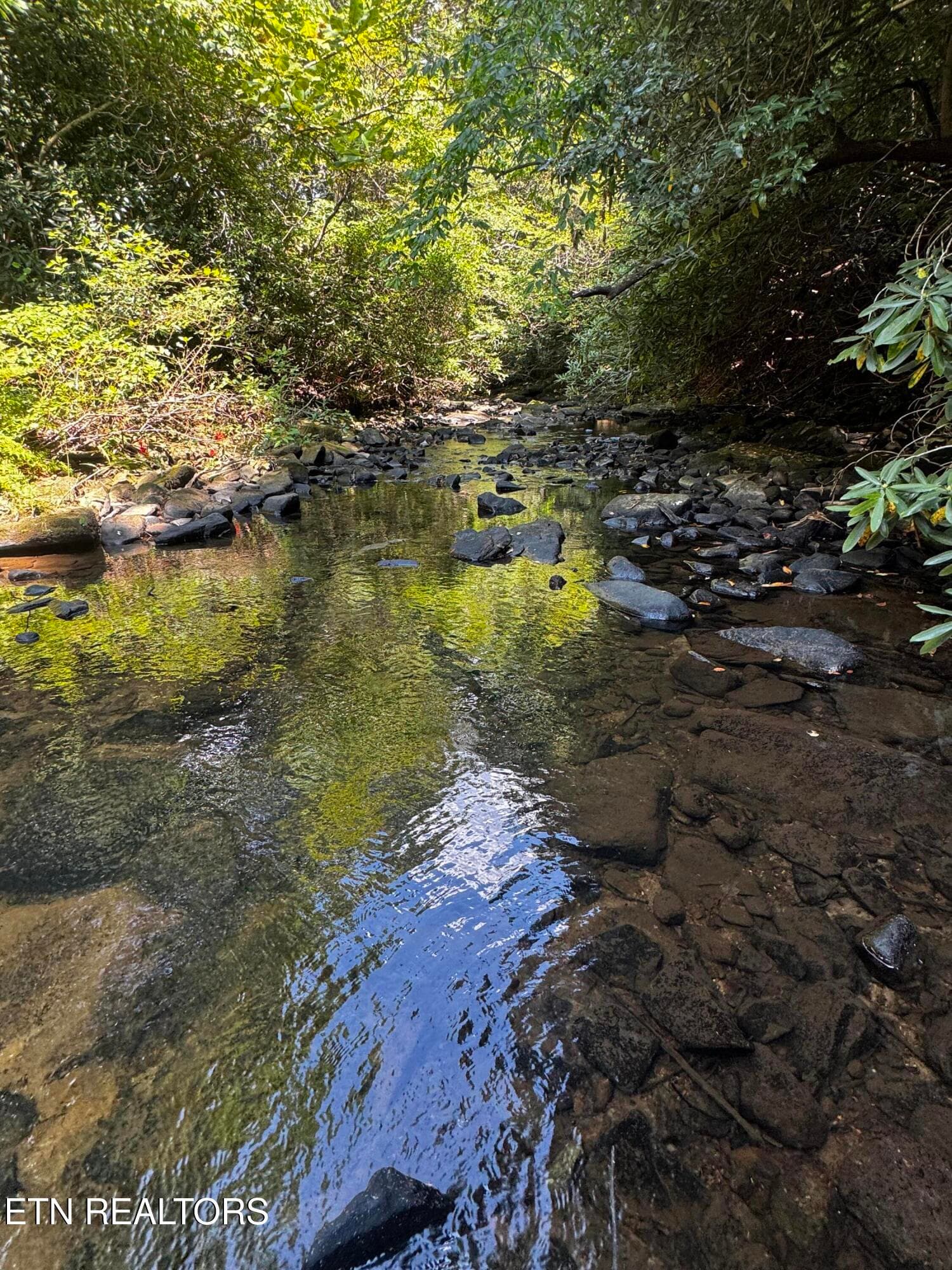 image3 - 1475 Campground Rd, Clarkrange, TN 38553, Clarkrange