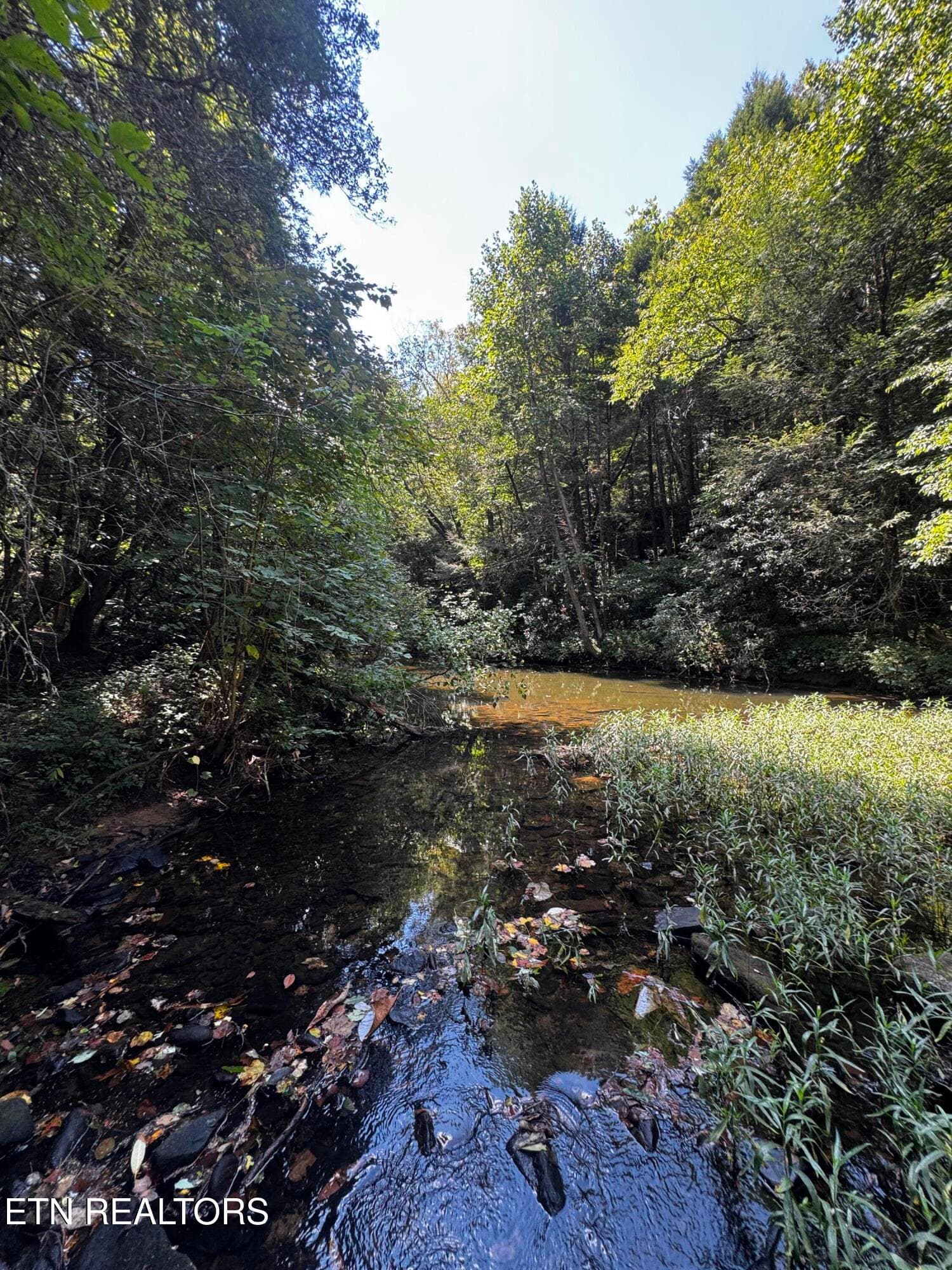 image1 - 1475 Campground Rd, Clarkrange, TN 38553, Clarkrange