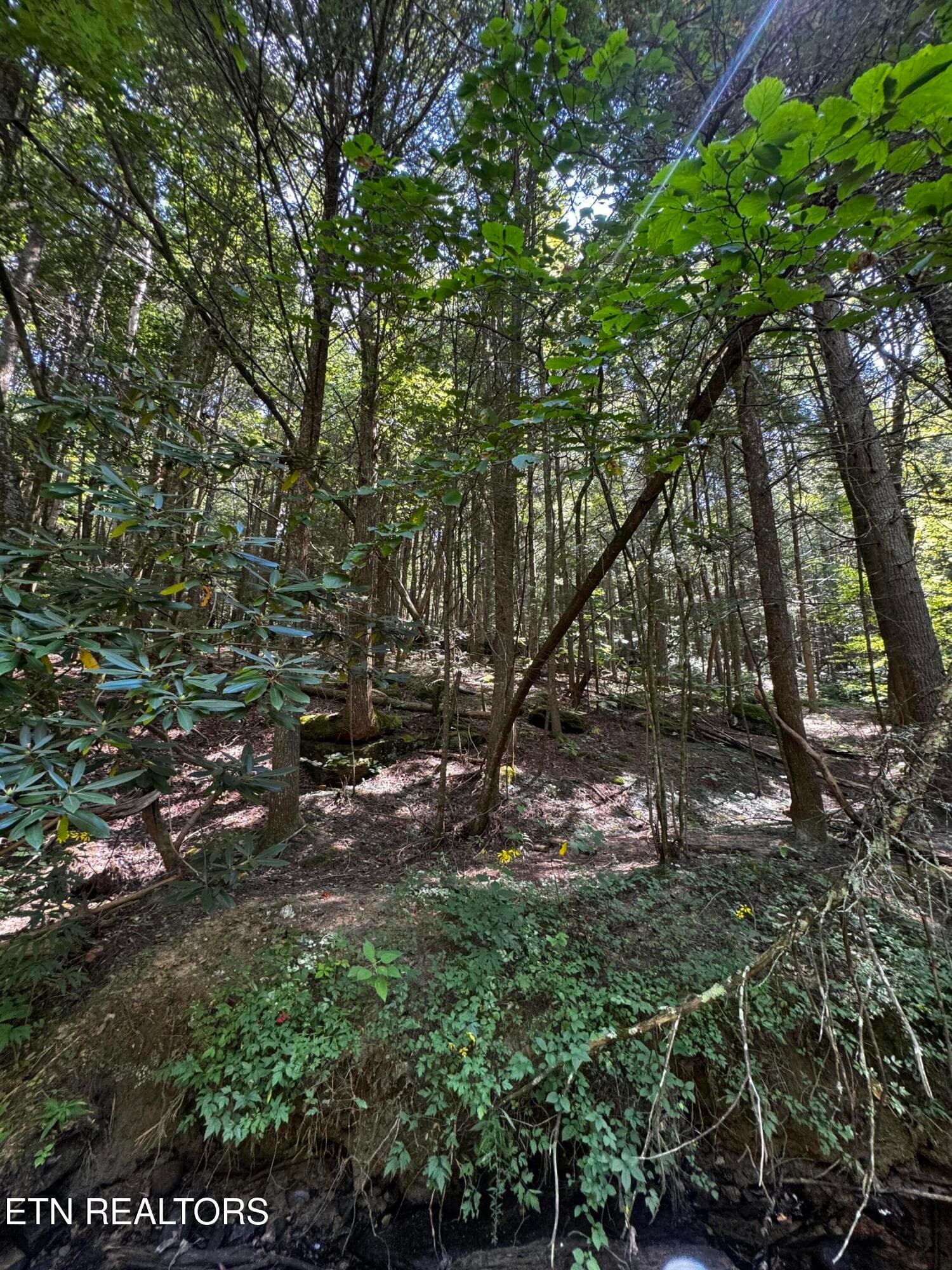 image2 - 1475 Campground Rd, Clarkrange, TN 38553, Clarkrange
