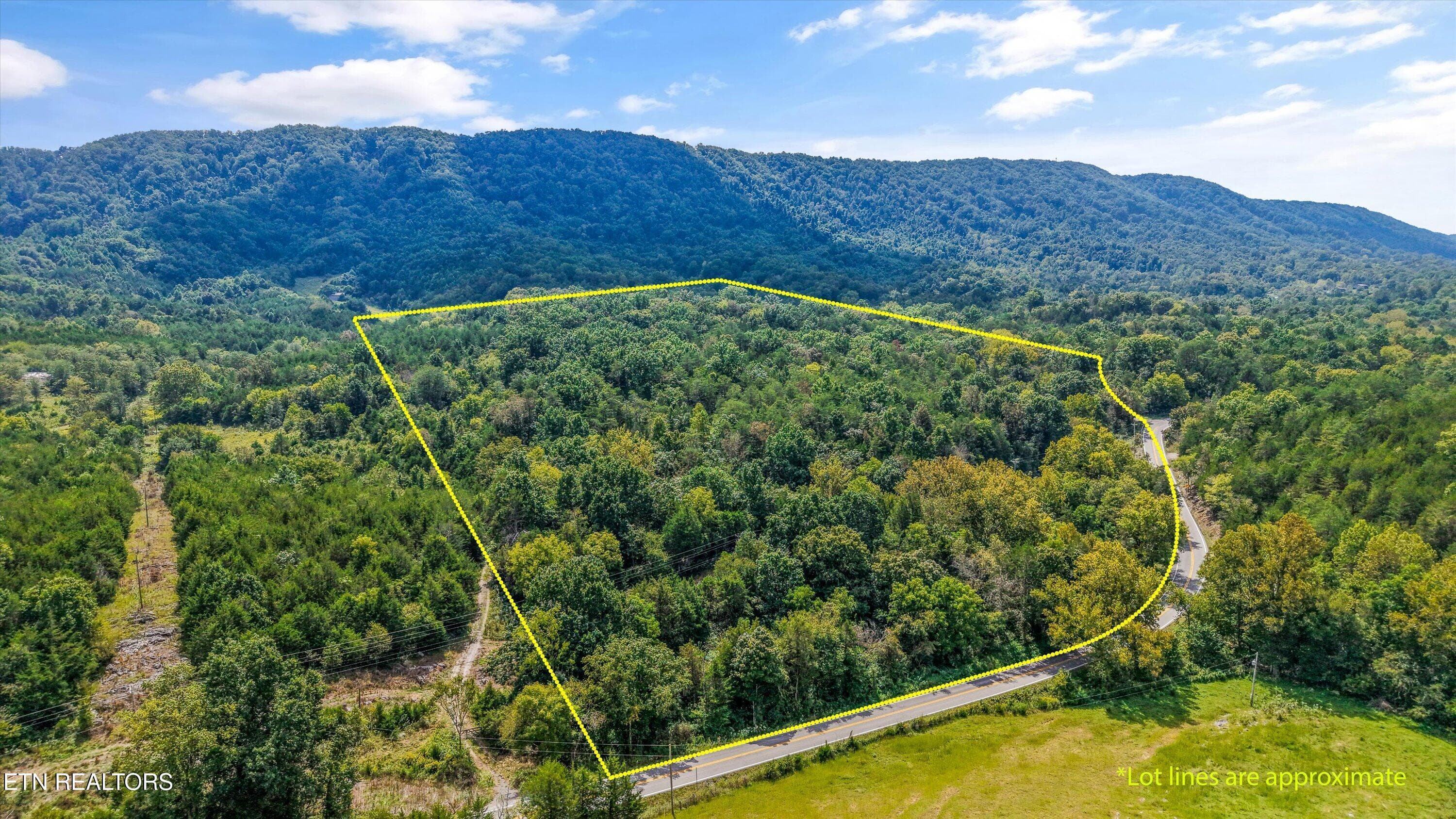 IMG_2910 - Highway 131 West, Treadway, TN 37881