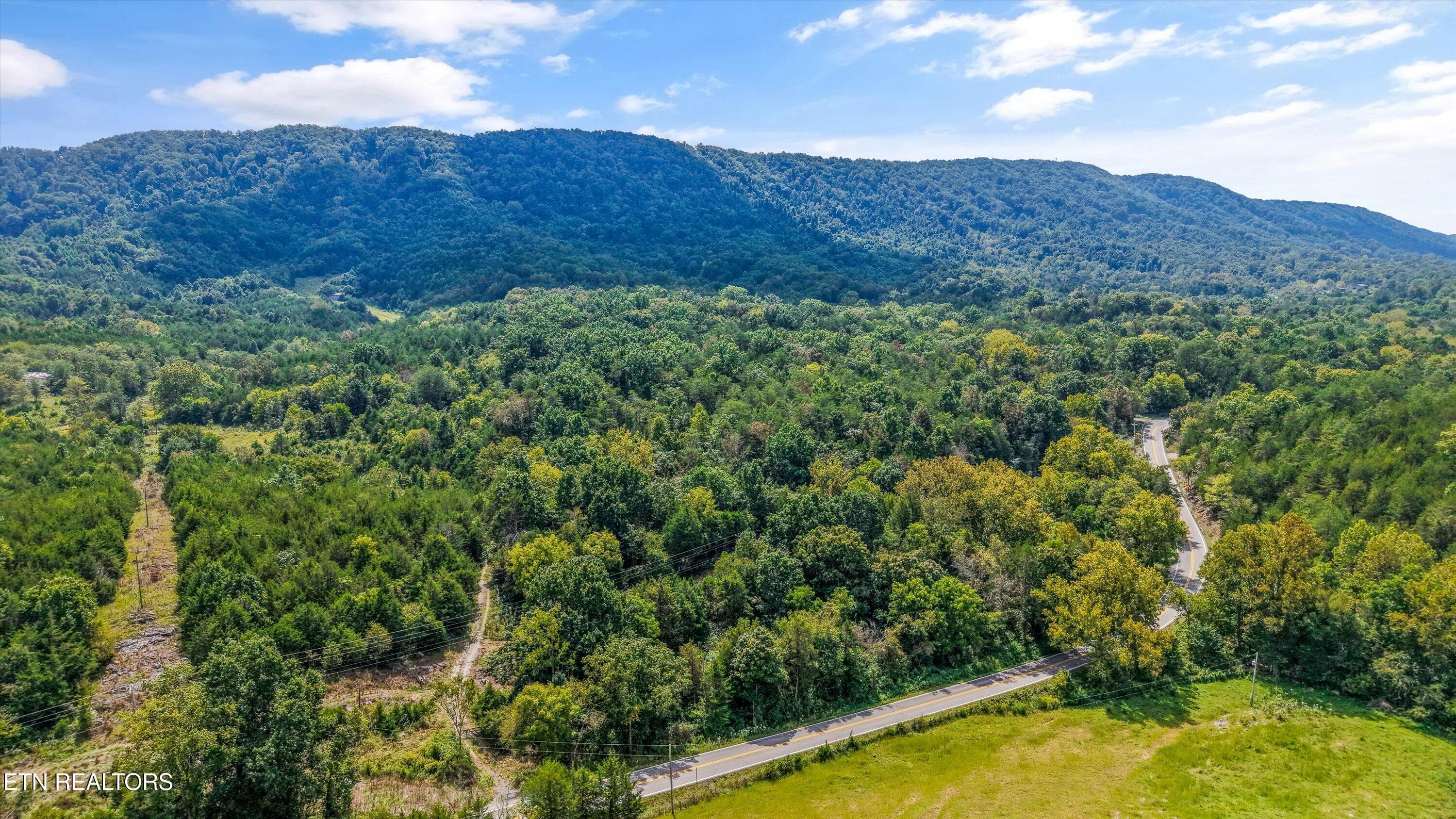 IMG_2911 - Highway 131 West, Treadway, TN 37881