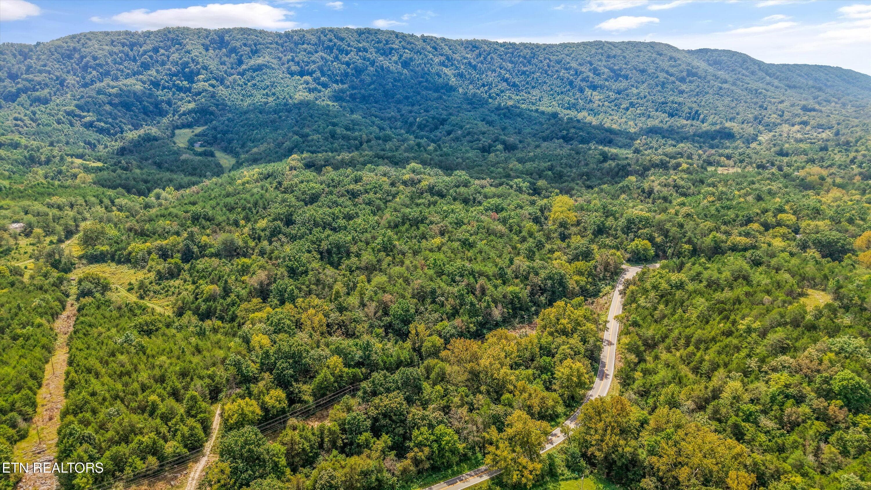 IMG_2892 - Highway 131 West, Treadway, TN 37881