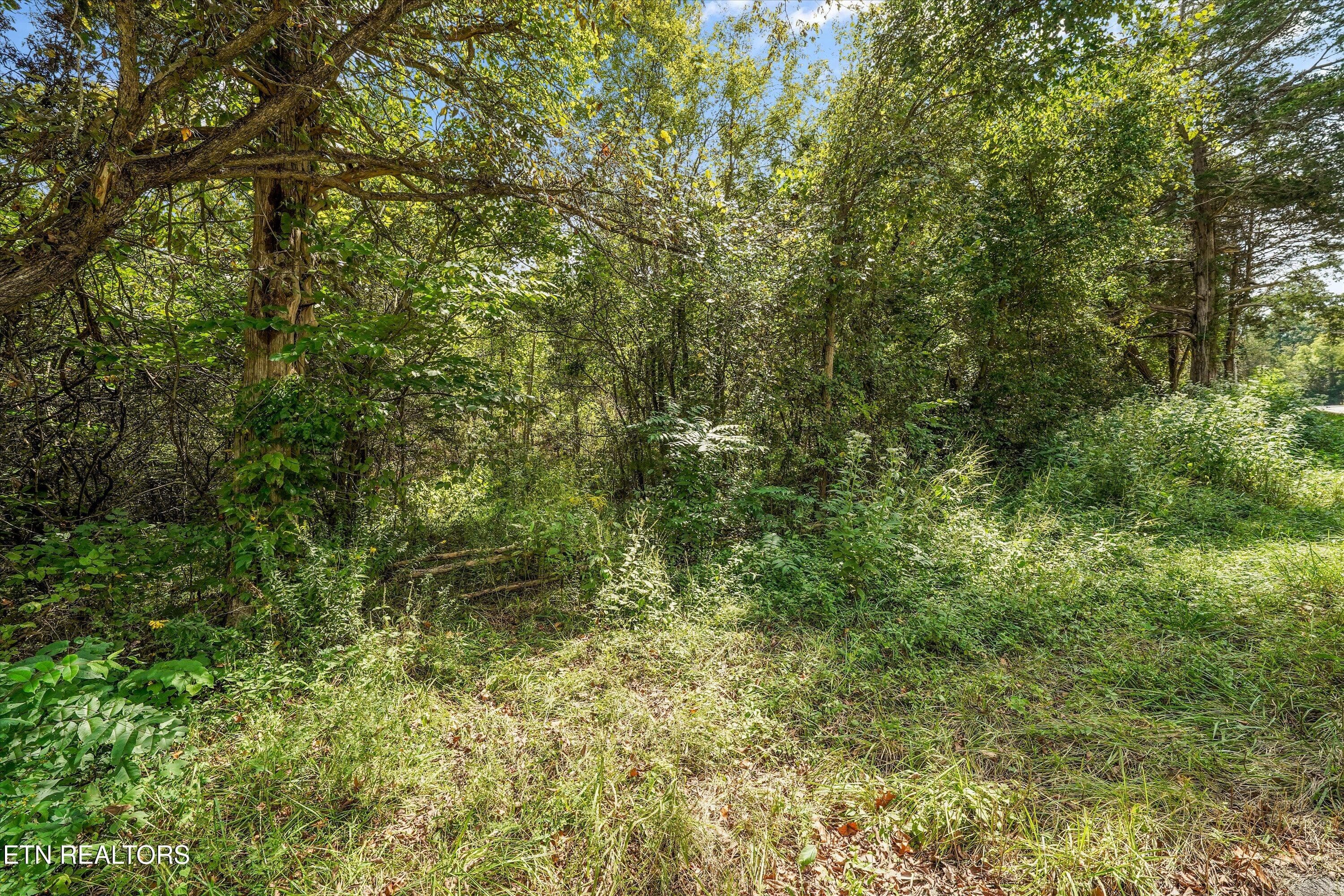 IMG_2880 - Highway 131 West, Treadway, TN 37881