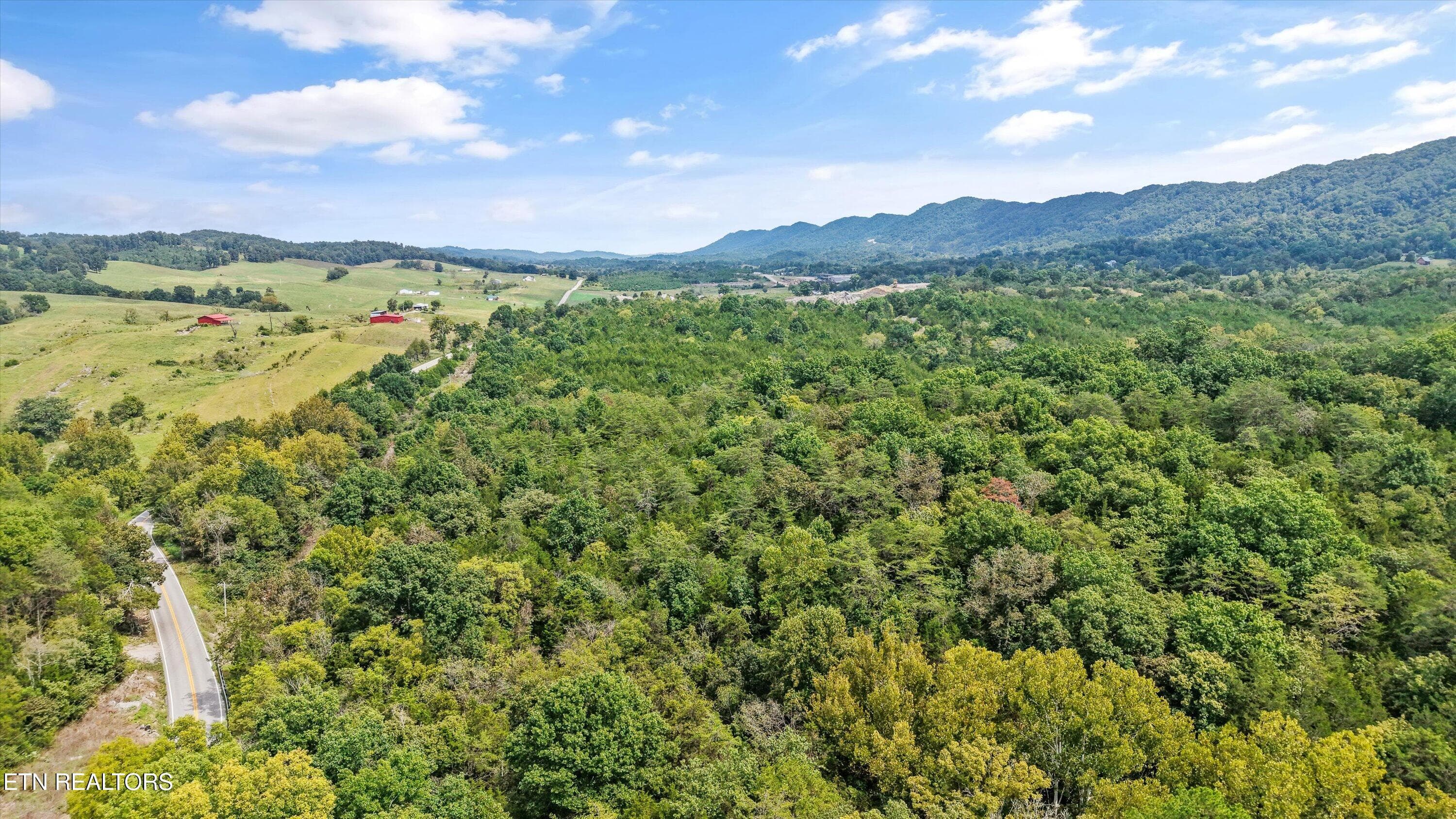 IMG_2882 - Highway 131 West, Treadway, TN 37881