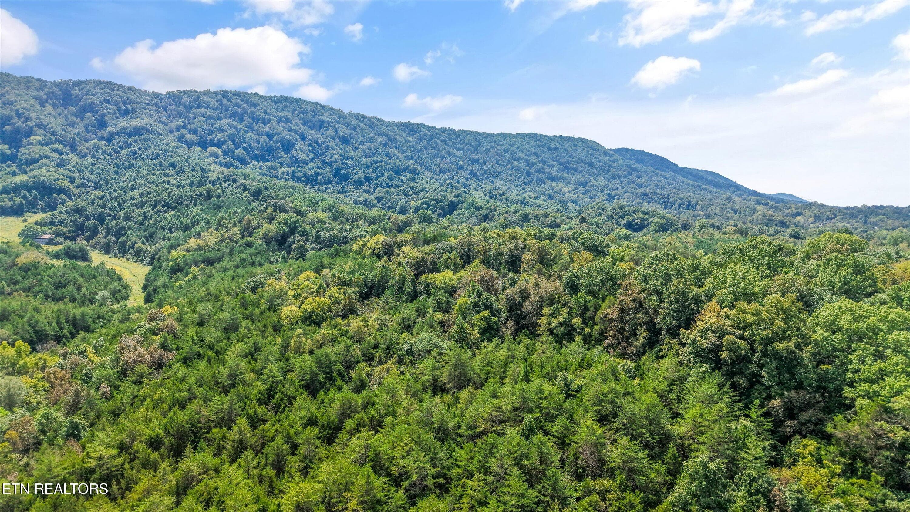 IMG_2878 - Highway 131 West, Treadway, TN 37881