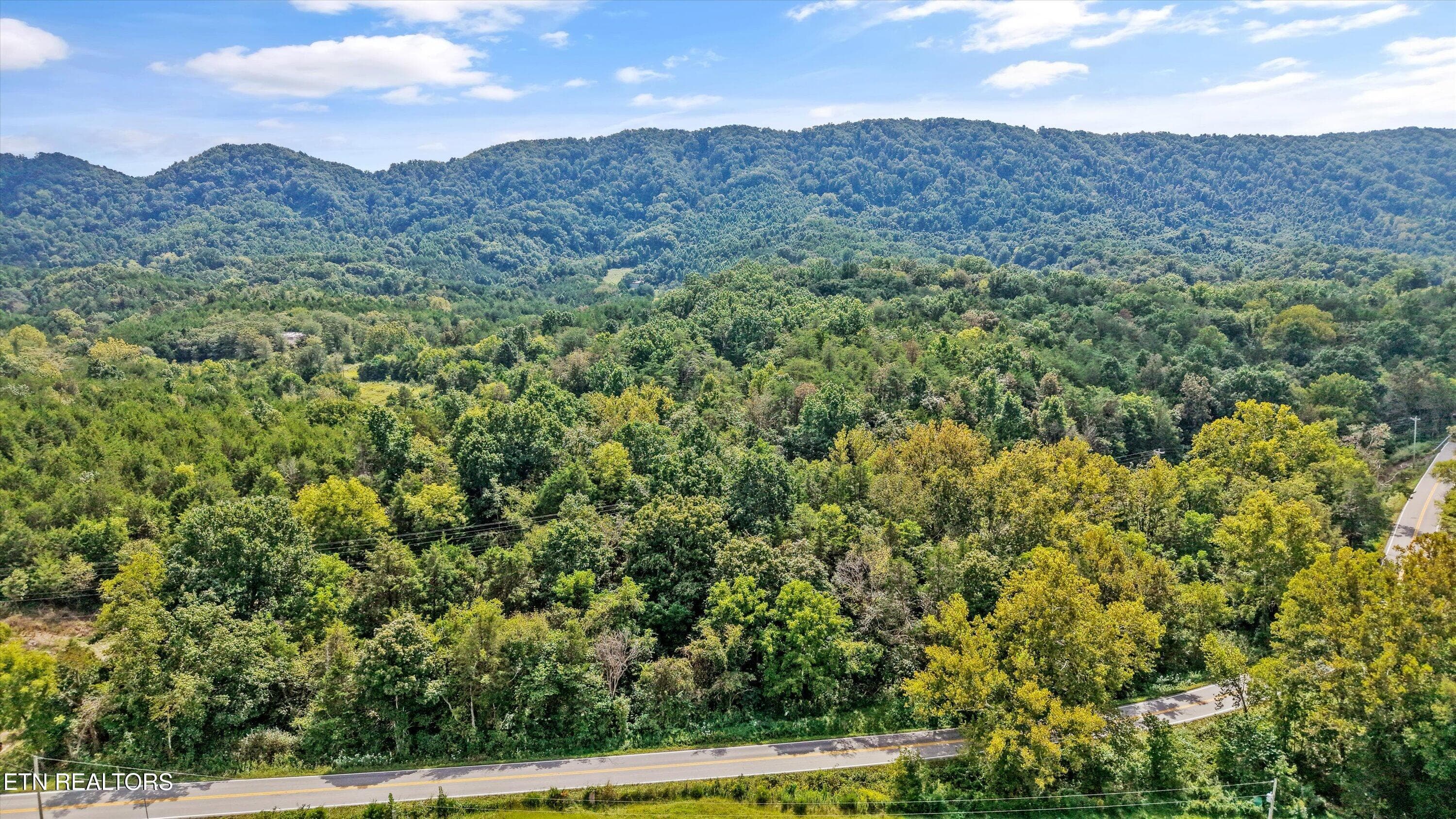 IMG_2876 - Highway 131 West, Treadway, TN 37881