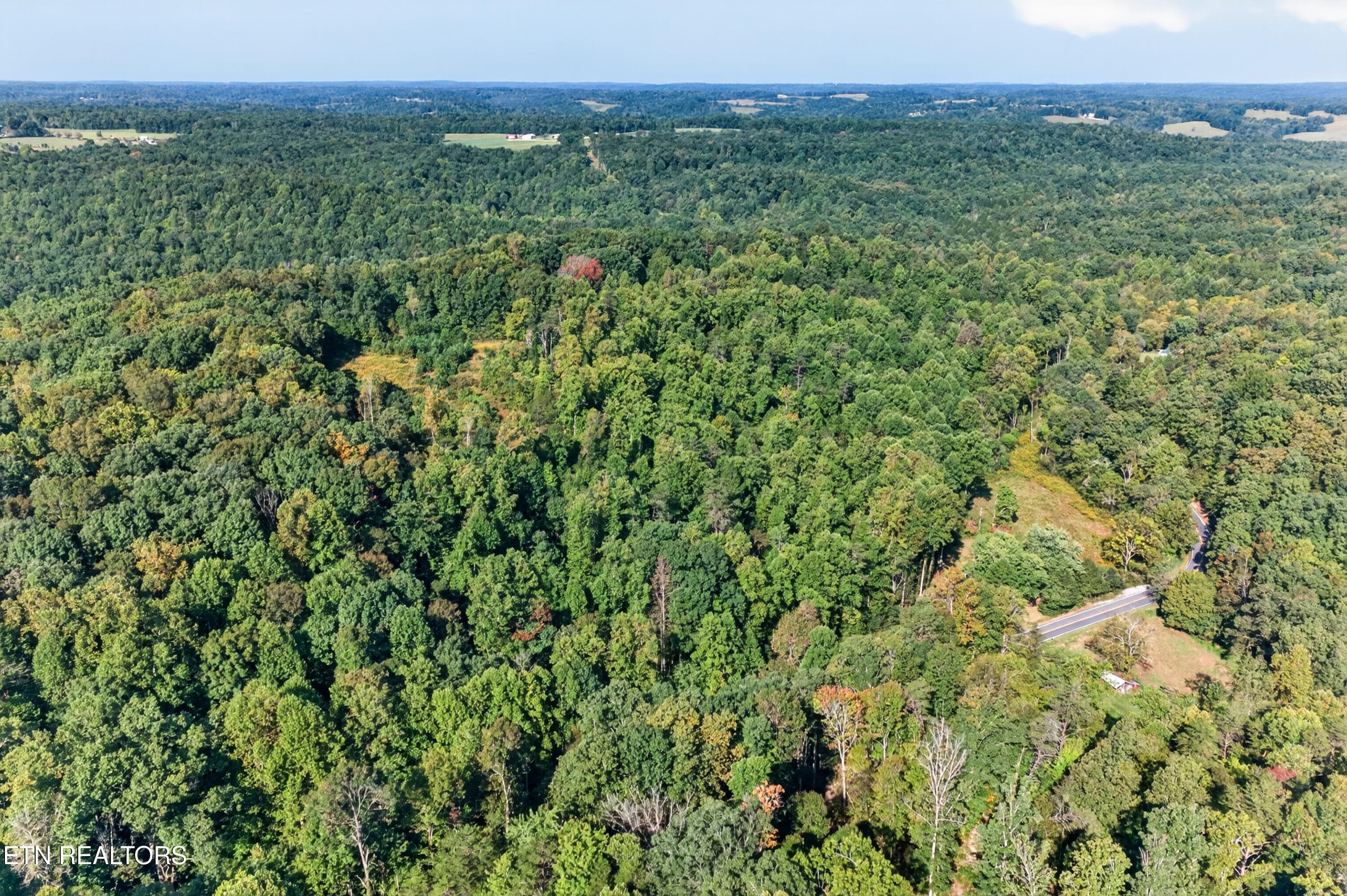 6-print-1475 Campground Rd_021_TNPC - 1475 Campground Rd, Clarkrange, TN 38553, Clarkrange
