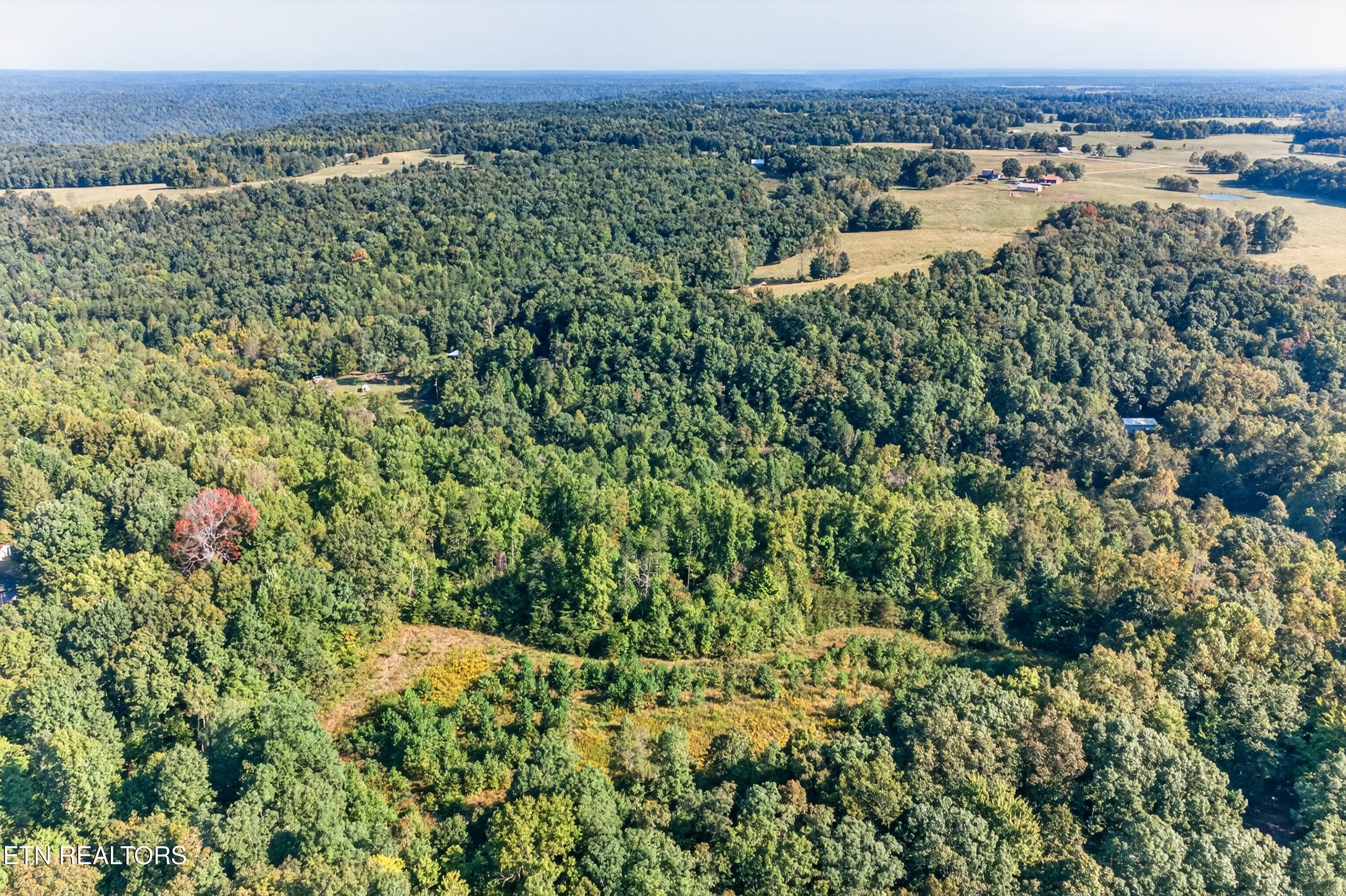 10-print-1475 Campground Rd_056_TNPC - 1475 Campground Rd, Clarkrange, TN 38553, Clarkrange