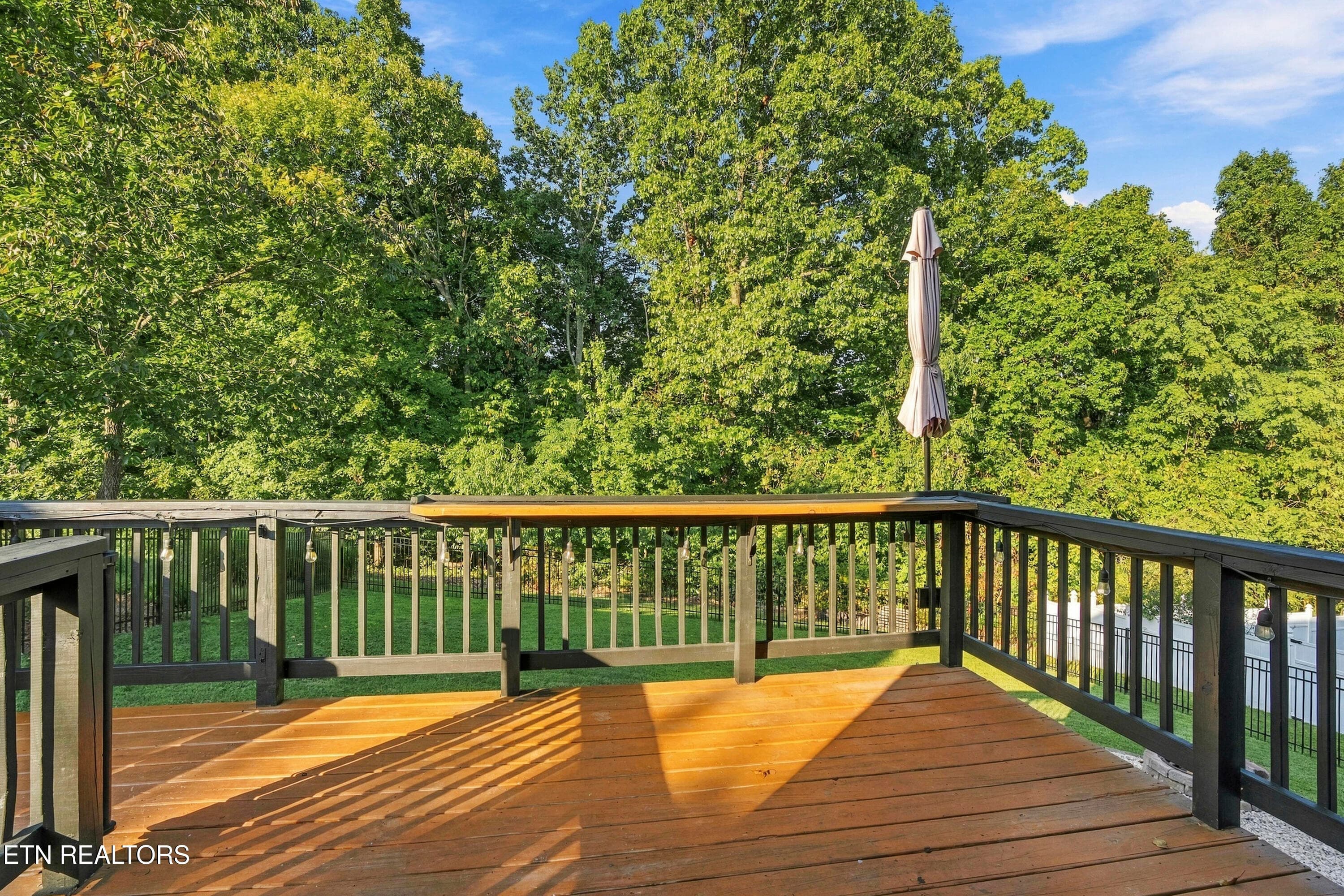 Super private & wooded - 4022 Mountain Vista Rd, Knoxville, TN 37931, Knoxville