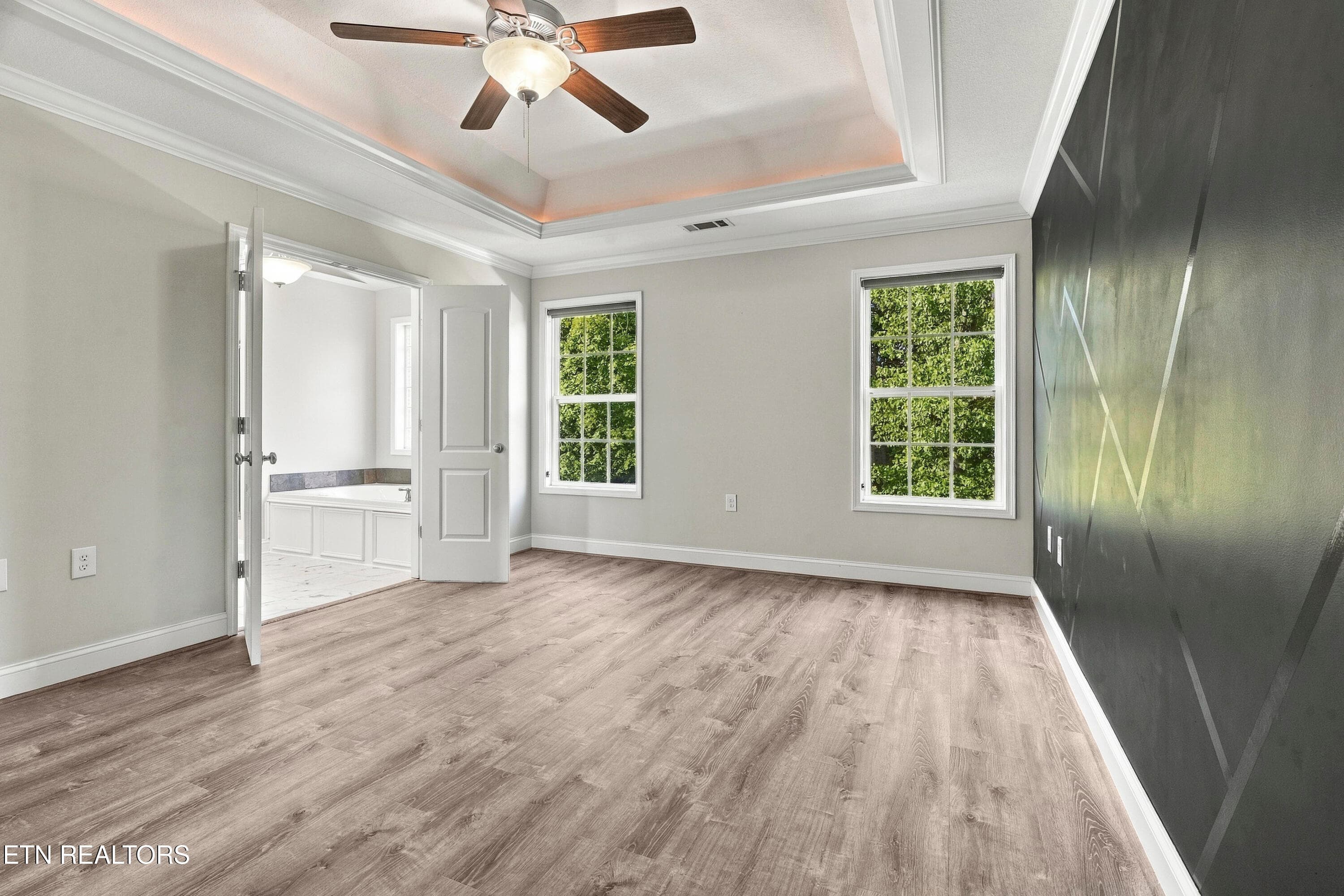 Trey ceiling & custom accent wall - 4022 Mountain Vista Rd, Knoxville, TN 37931, Knoxville