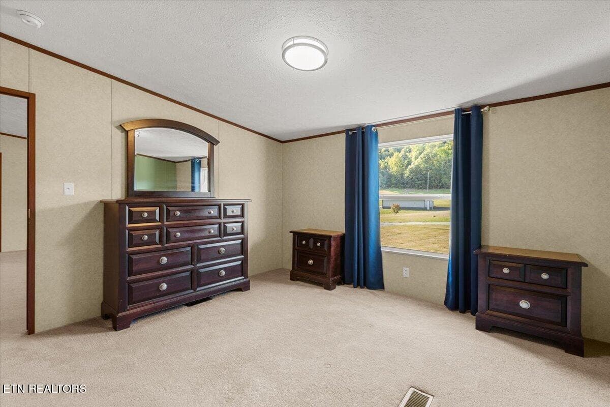 22-IMG_1070 - 267 Evergreen Way, Mooresburg, TN 37811, Mooresburg