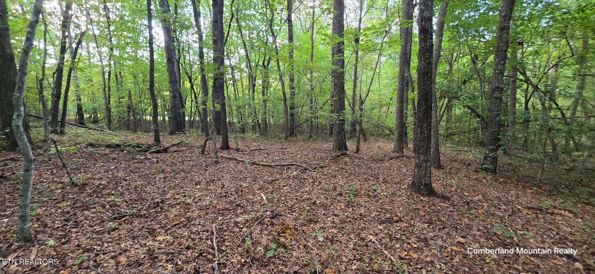 Birch Place, Monterey, TN 38574