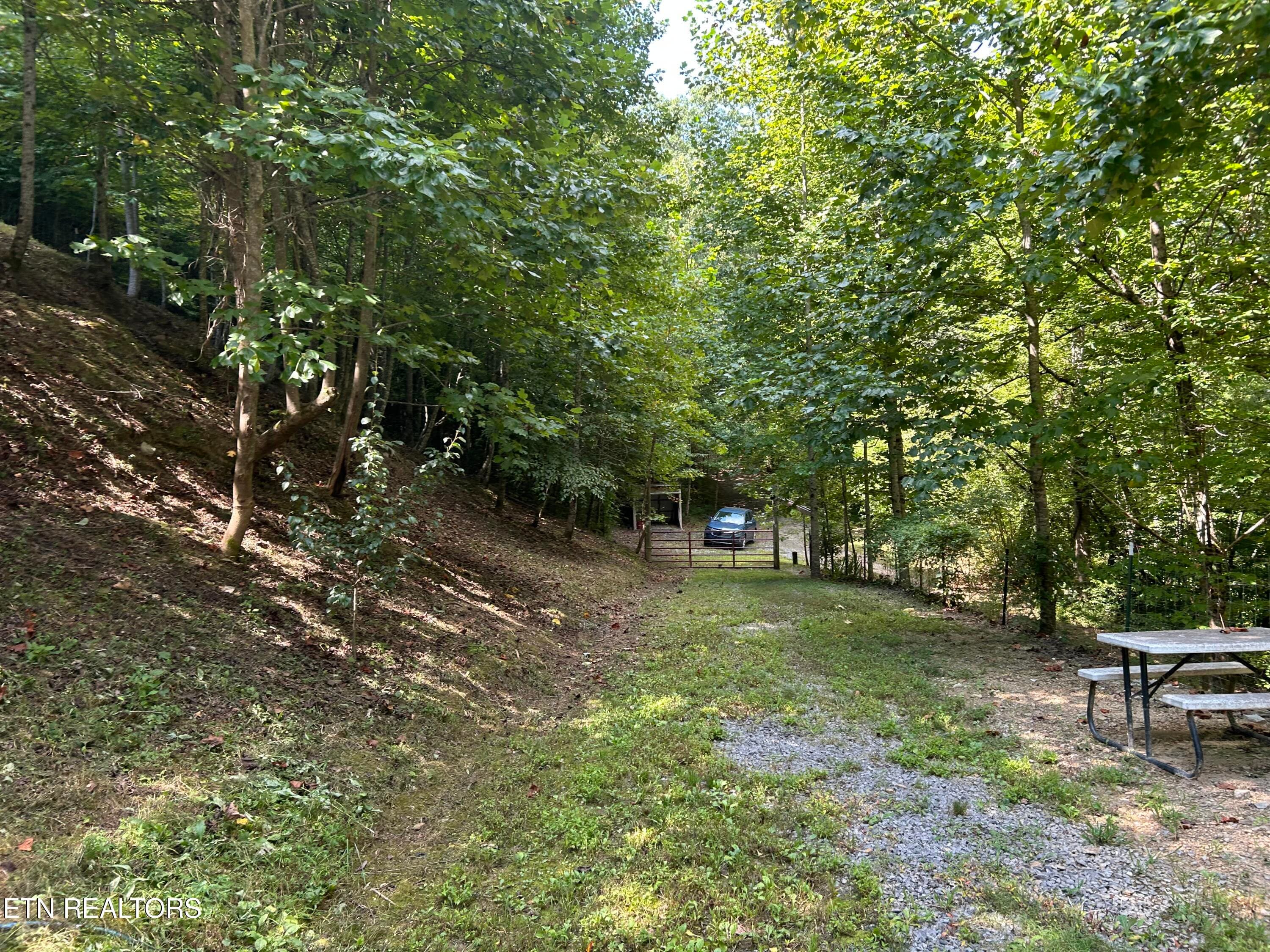 IMG_0396 - 1272 Briar Fork Rd, Bean Station, TN 37708