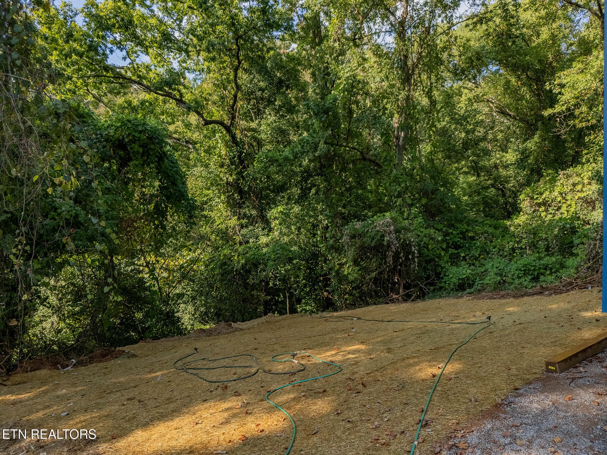 DJI_20260916165256_0026_D-HDR - 3821 Bonnie View Ave, Knoxville, TN 37914, Knoxville