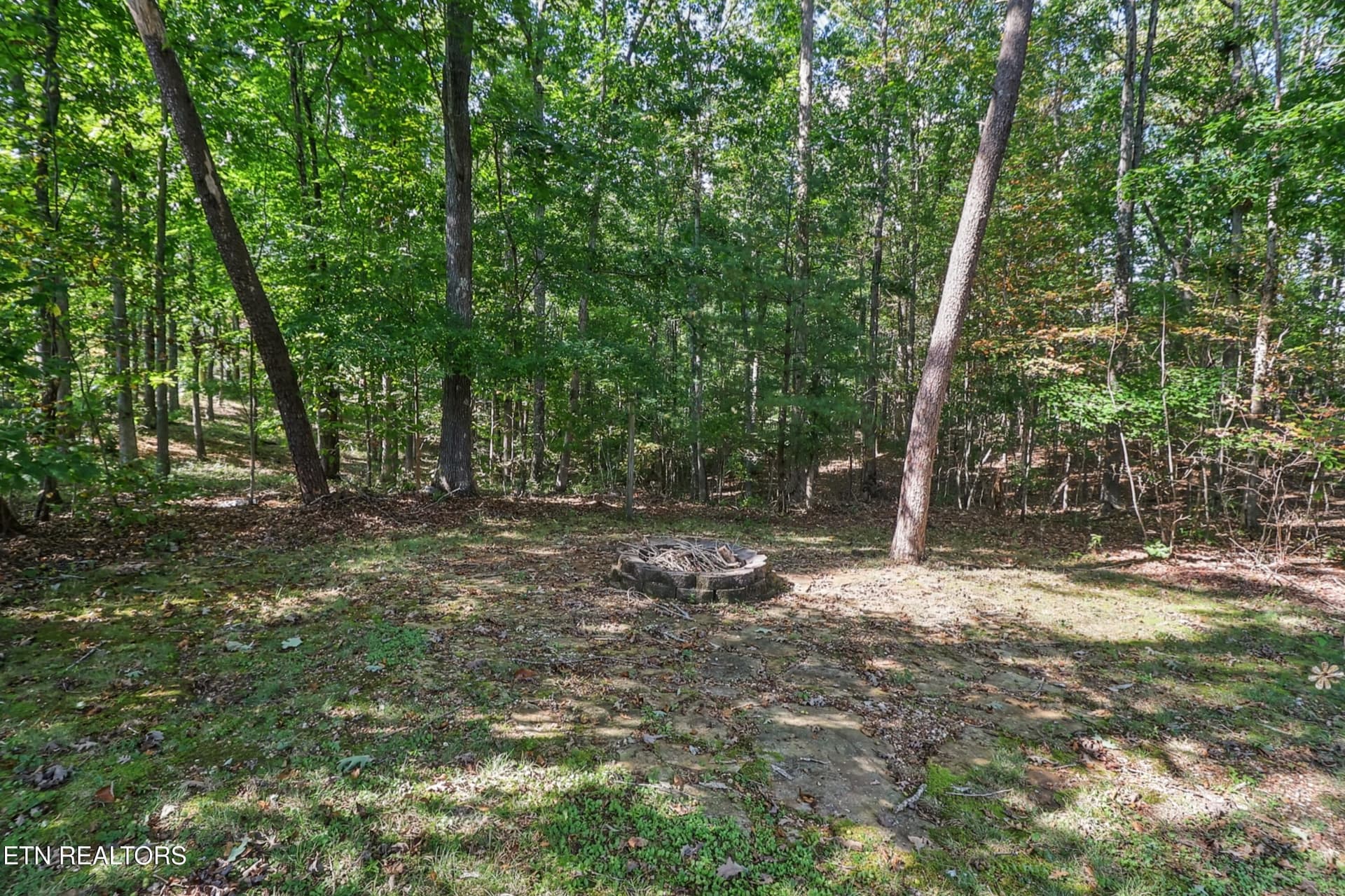 N44A3624_print - 37 Obed Point, Crossville, TN 38571