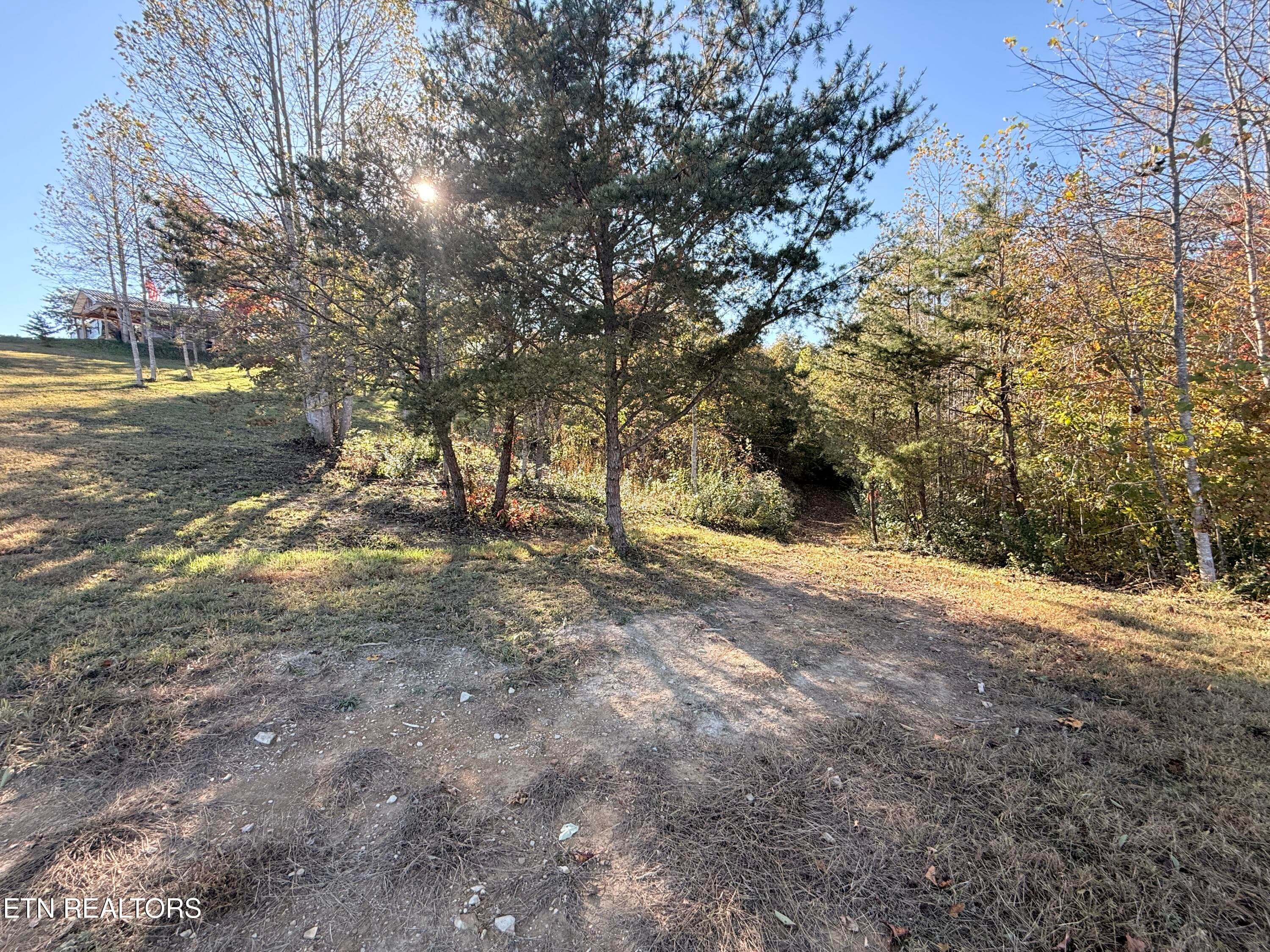 Clubhouse Upper Property - 444 Roses Creek Rd, Clairfield, TN 37715, Clairfield