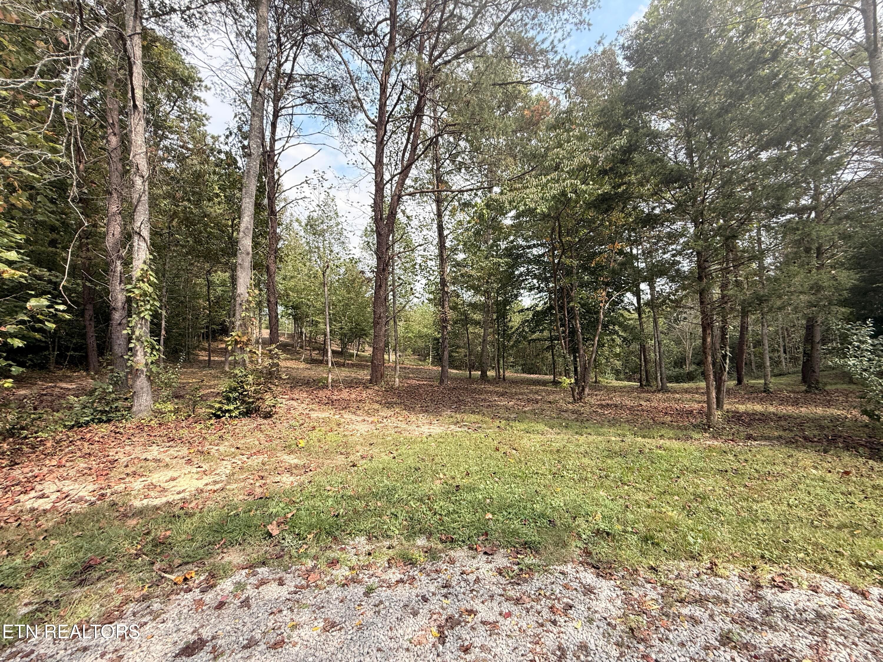 Lower Property - 444 Roses Creek Rd, Clairfield, TN 37715, Clairfield