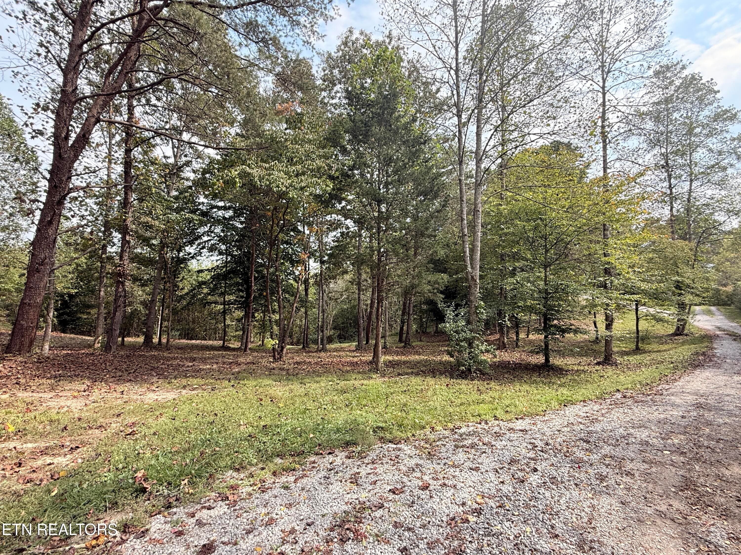 Lower Property - 444 Roses Creek Rd, Clairfield, TN 37715, Clairfield