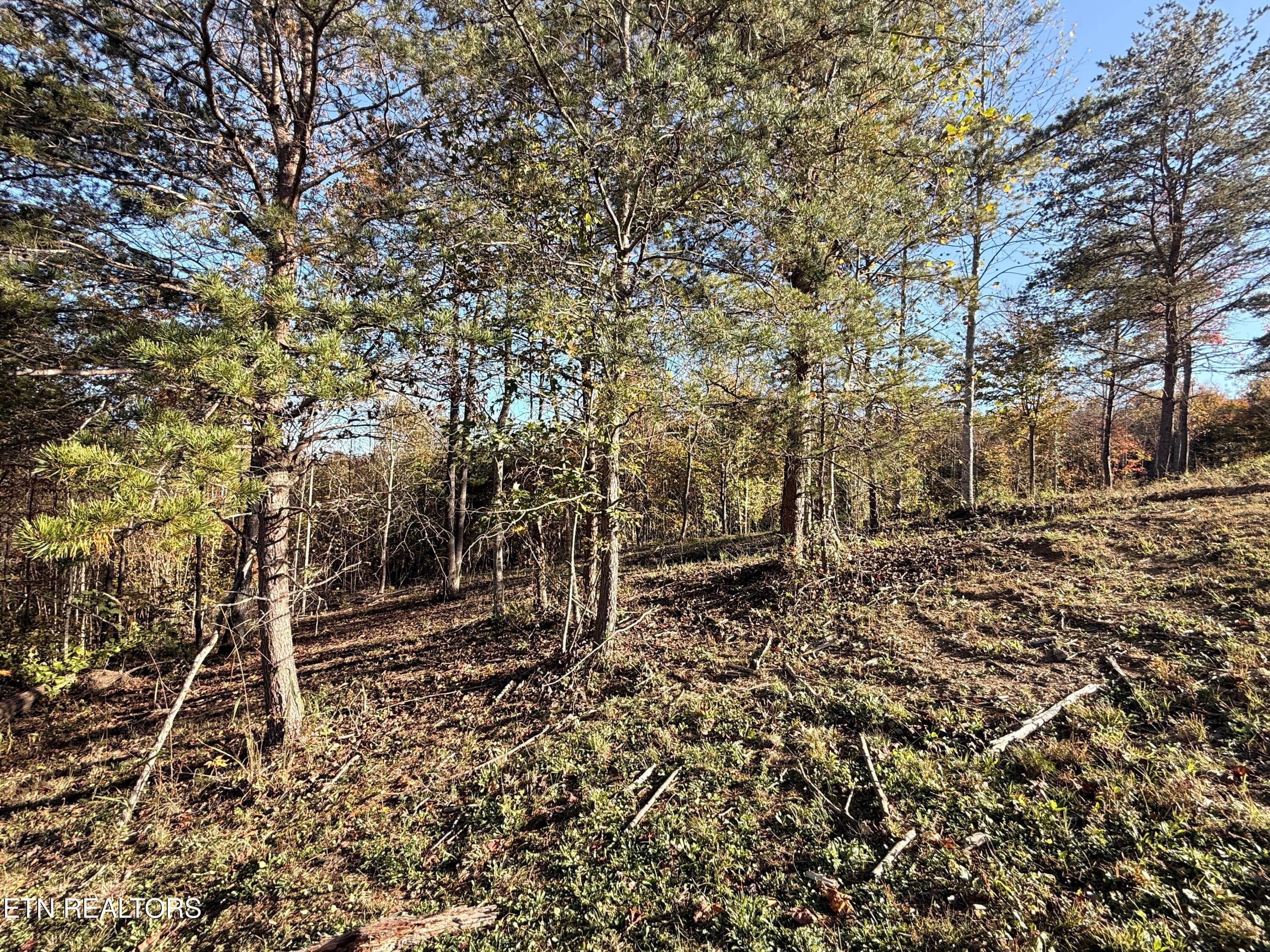 Lower Property - 444 Roses Creek Rd, Clairfield, TN 37715, Clairfield