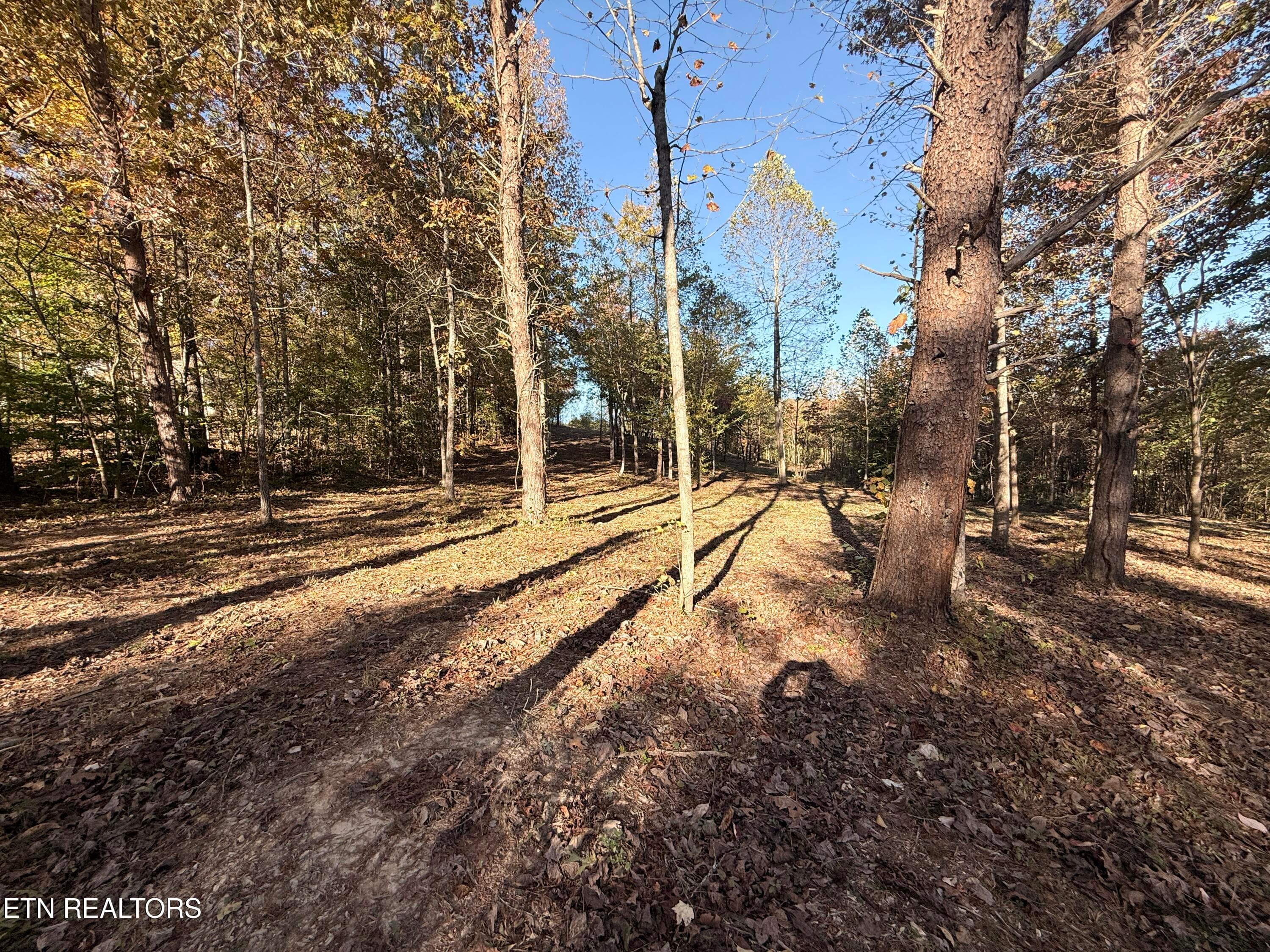 Lower Property - 444 Roses Creek Rd, Clairfield, TN 37715, Clairfield
