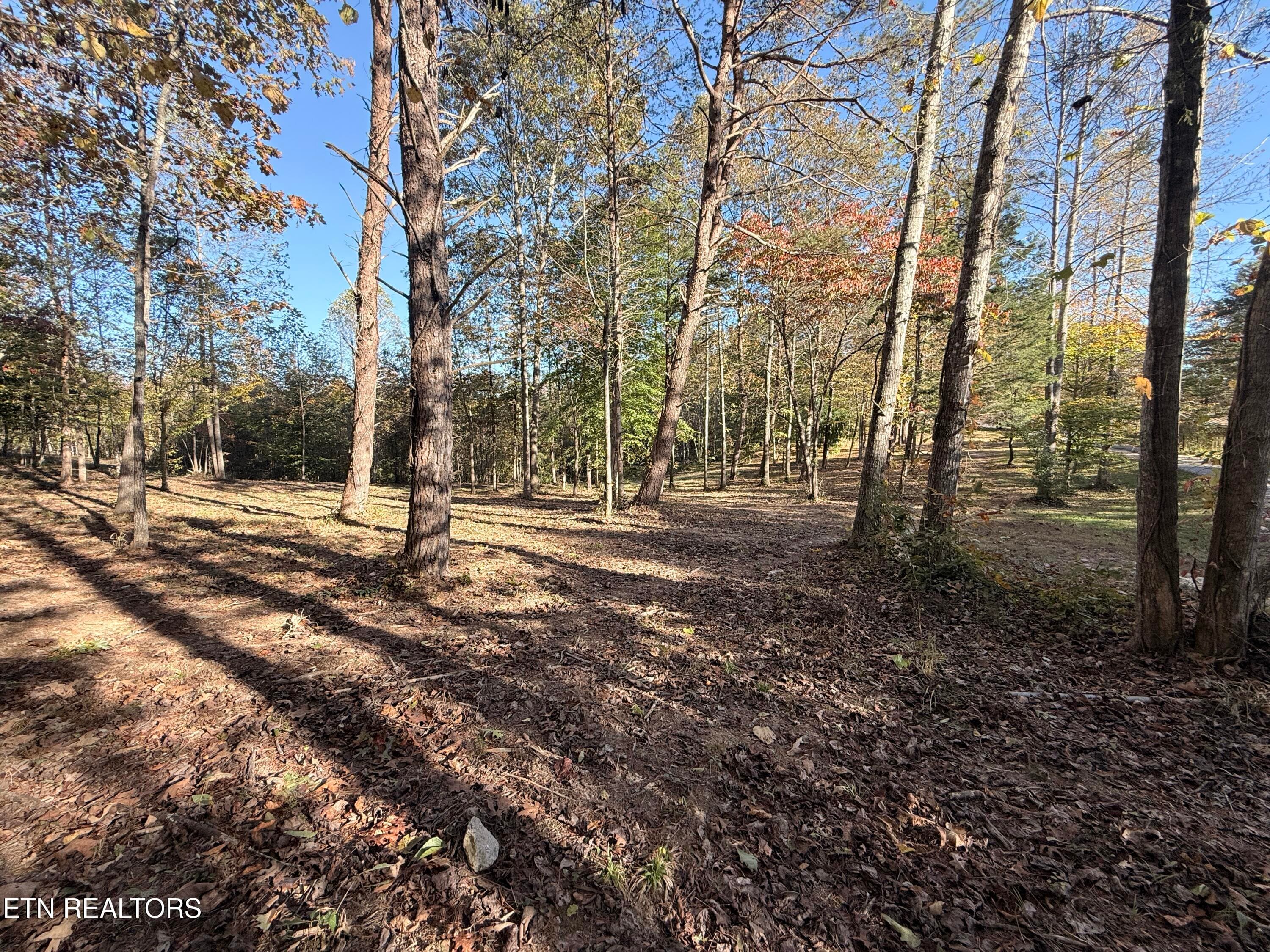 Lower Property - 444 Roses Creek Rd, Clairfield, TN 37715, Clairfield