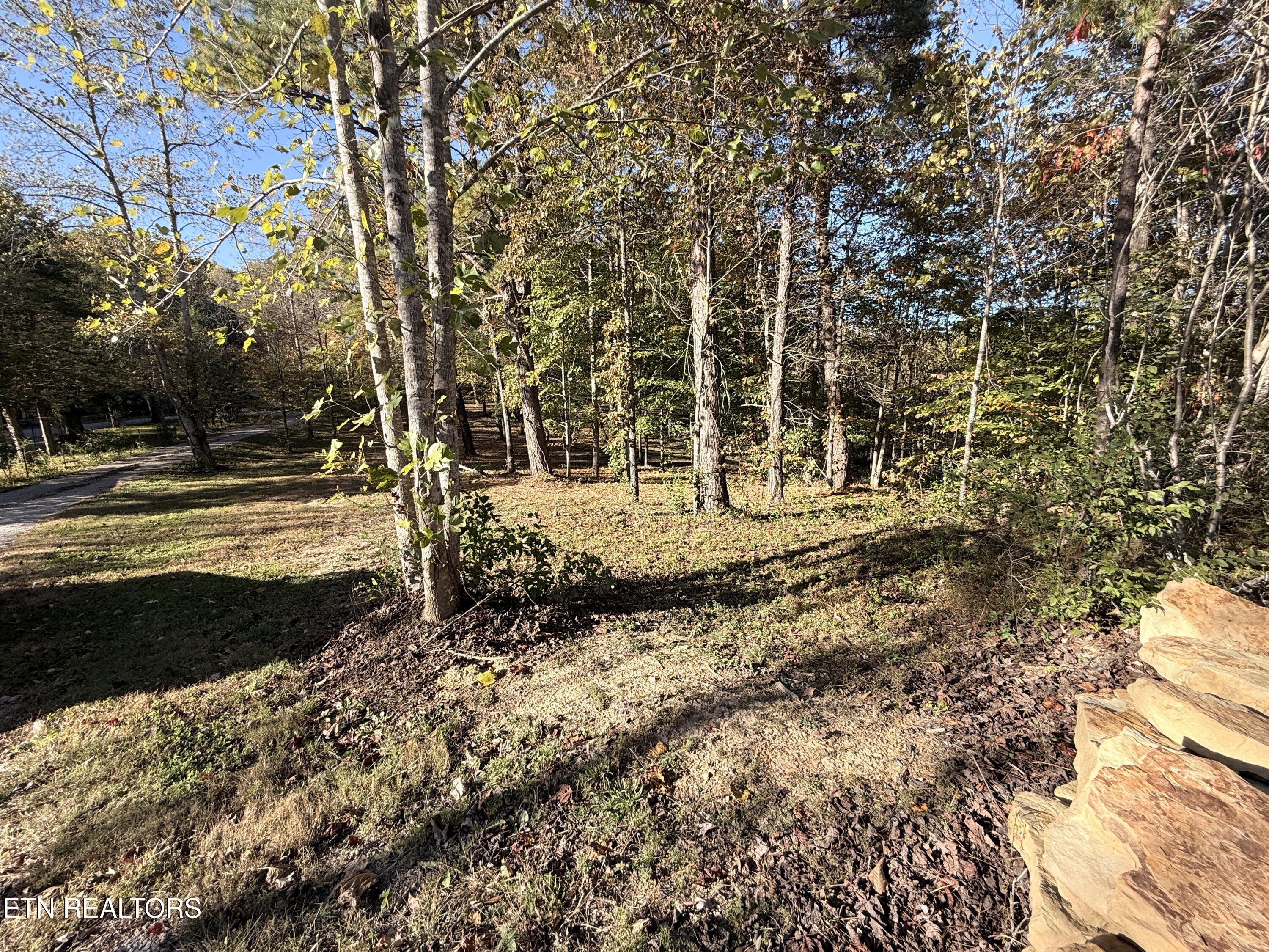 Lower Property - 444 Roses Creek Rd, Clairfield, TN 37715, Clairfield