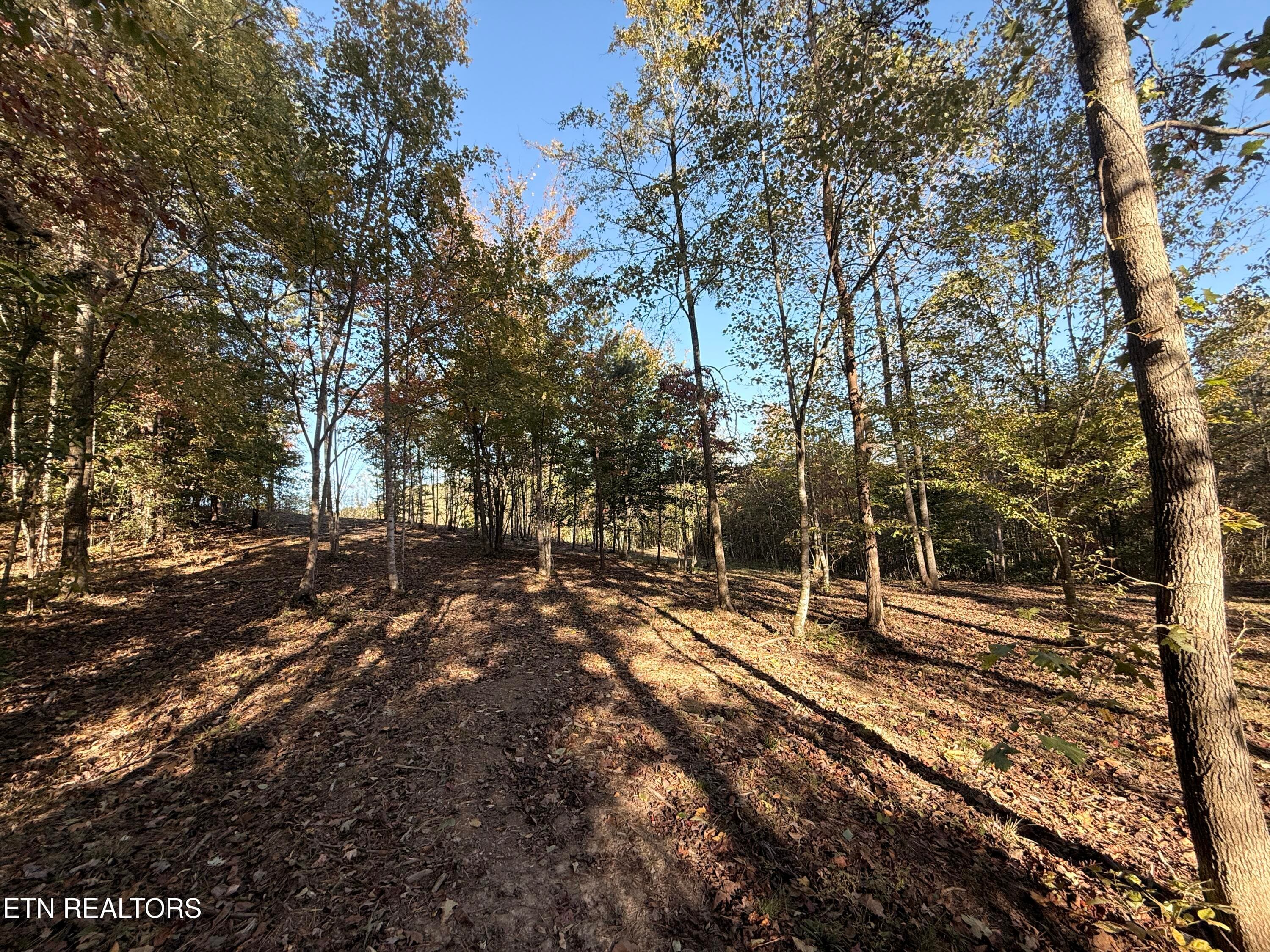 Lower Property - 444 Roses Creek Rd, Clairfield, TN 37715, Clairfield