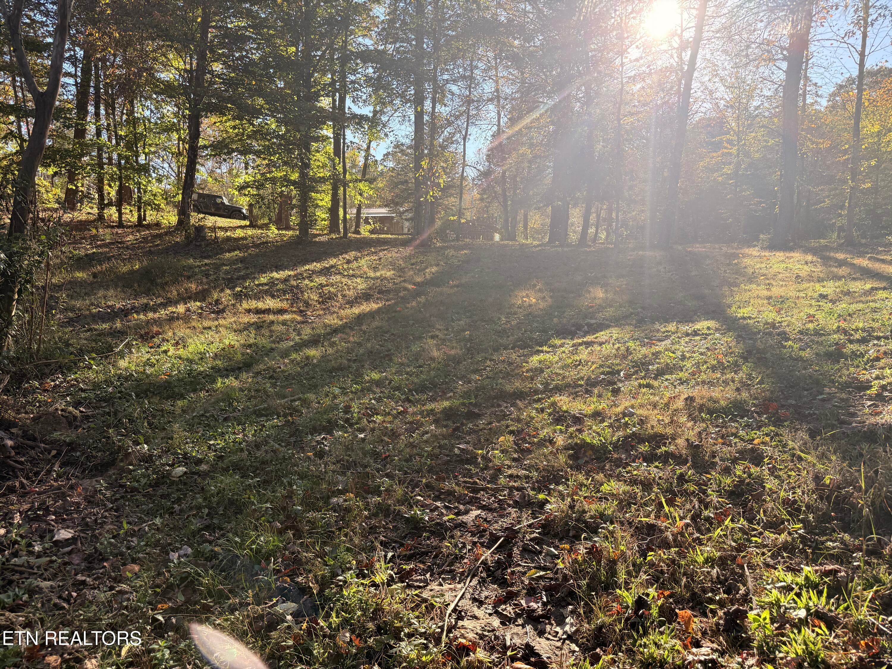 Lower Property - 444 Roses Creek Rd, Clairfield, TN 37715, Clairfield